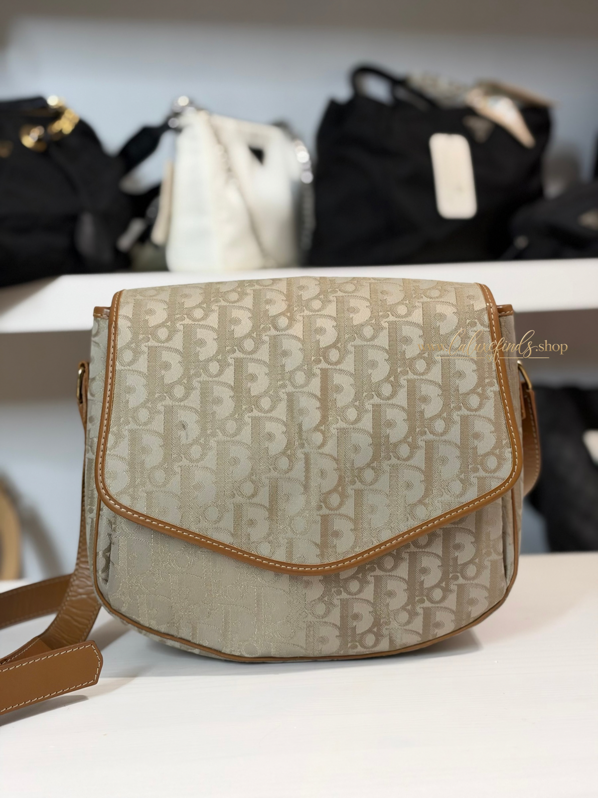 DIOR Trotter Crossbody Bag
