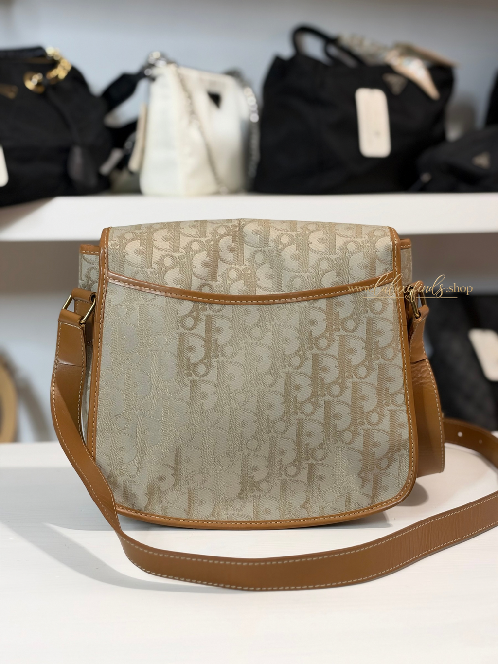 DIOR Trotter Crossbody Bag
