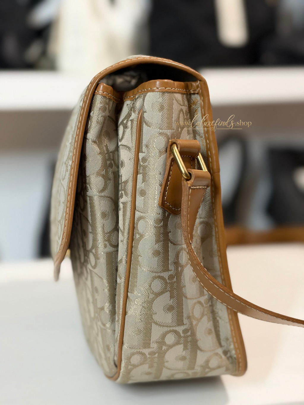 DIOR Trotter Crossbody Bag