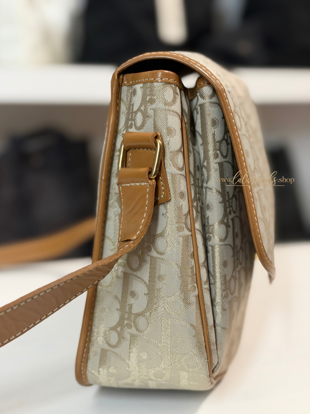 DIOR Trotter Crossbody Bag