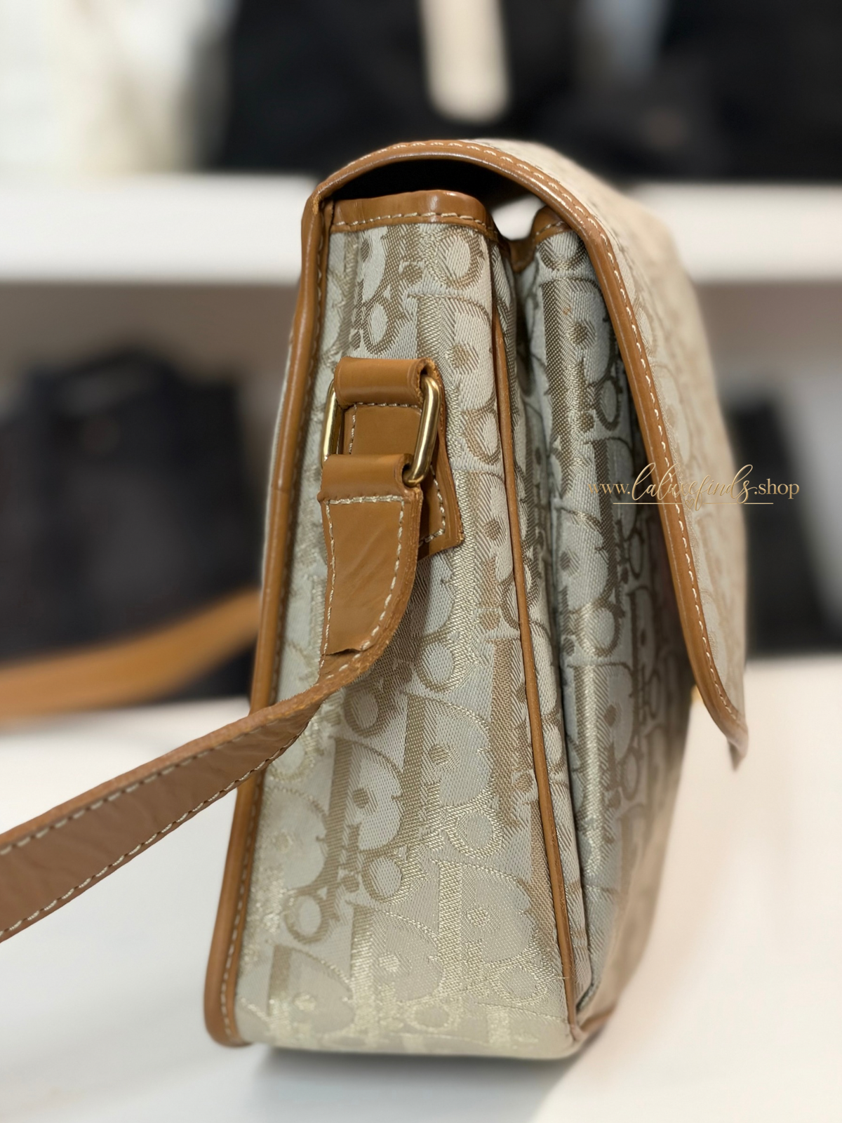 DIOR Trotter Crossbody Bag