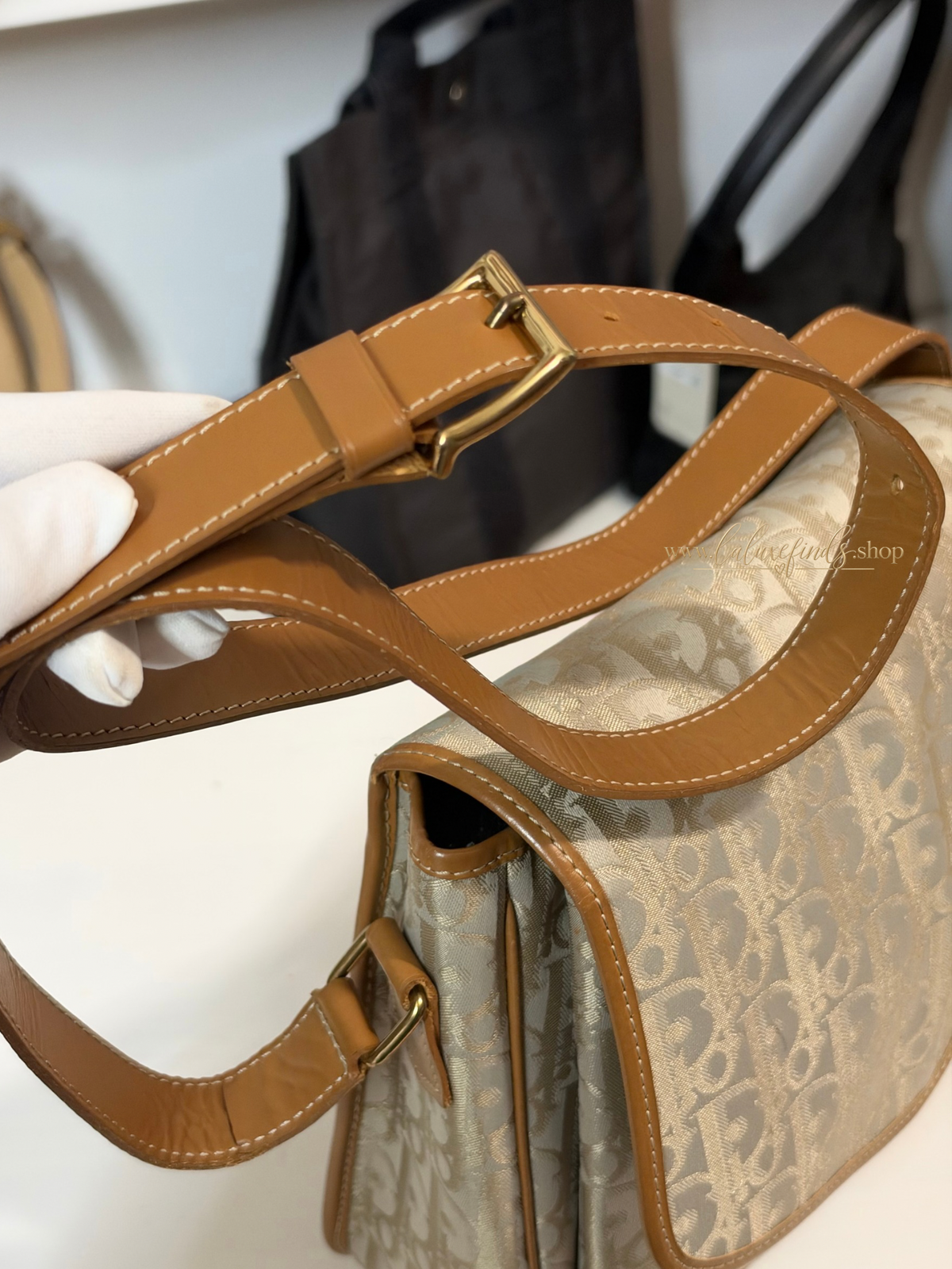 DIOR Trotter Crossbody Bag