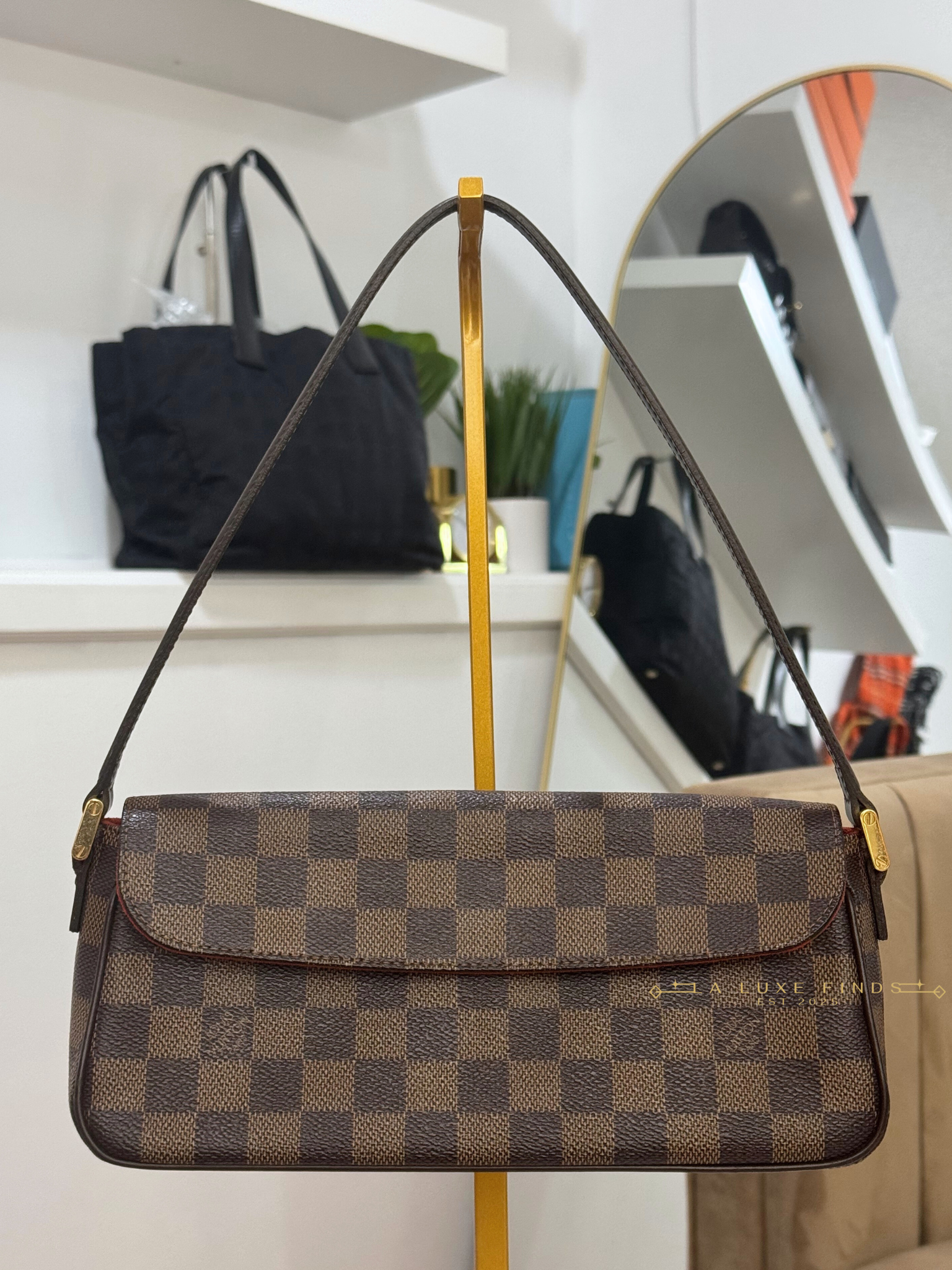 LOUIS VUITTON Damier Ebene Recoleta