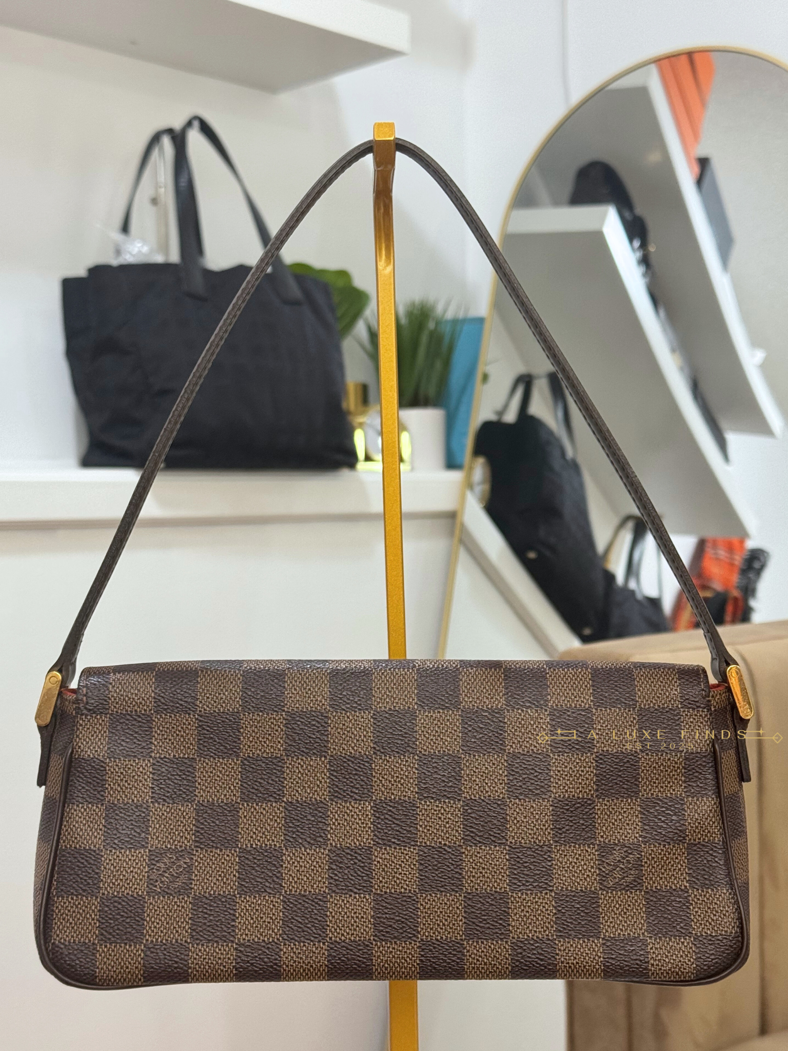 LOUIS VUITTON Damier Ebene Recoleta