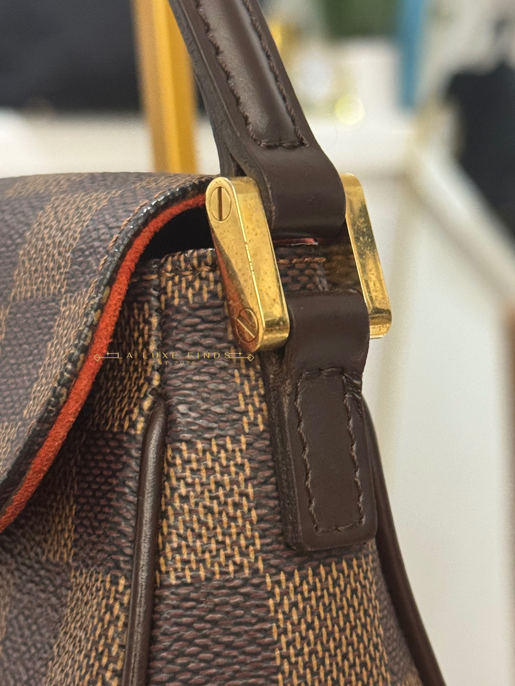 LOUIS VUITTON Damier Ebene Recoleta