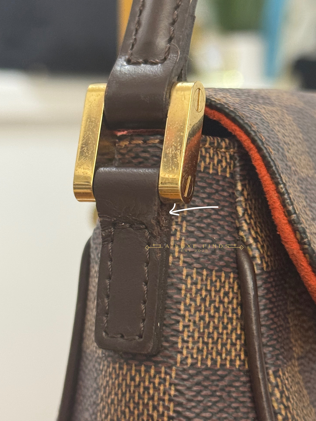 LOUIS VUITTON Damier Ebene Recoleta