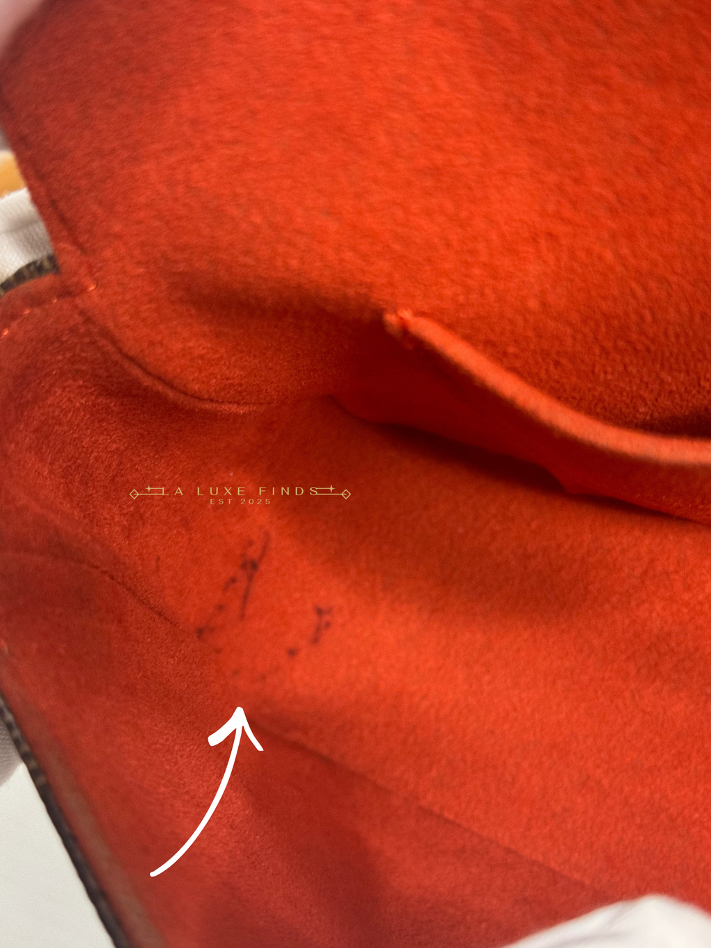 LOUIS VUITTON Damier Ebene Recoleta