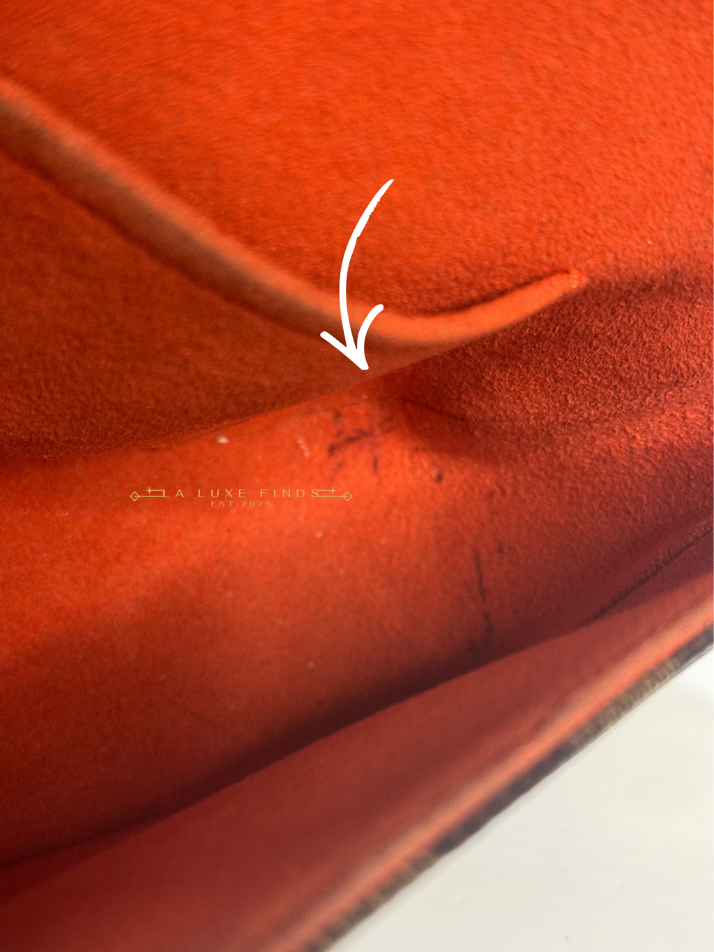 LOUIS VUITTON Damier Ebene Recoleta