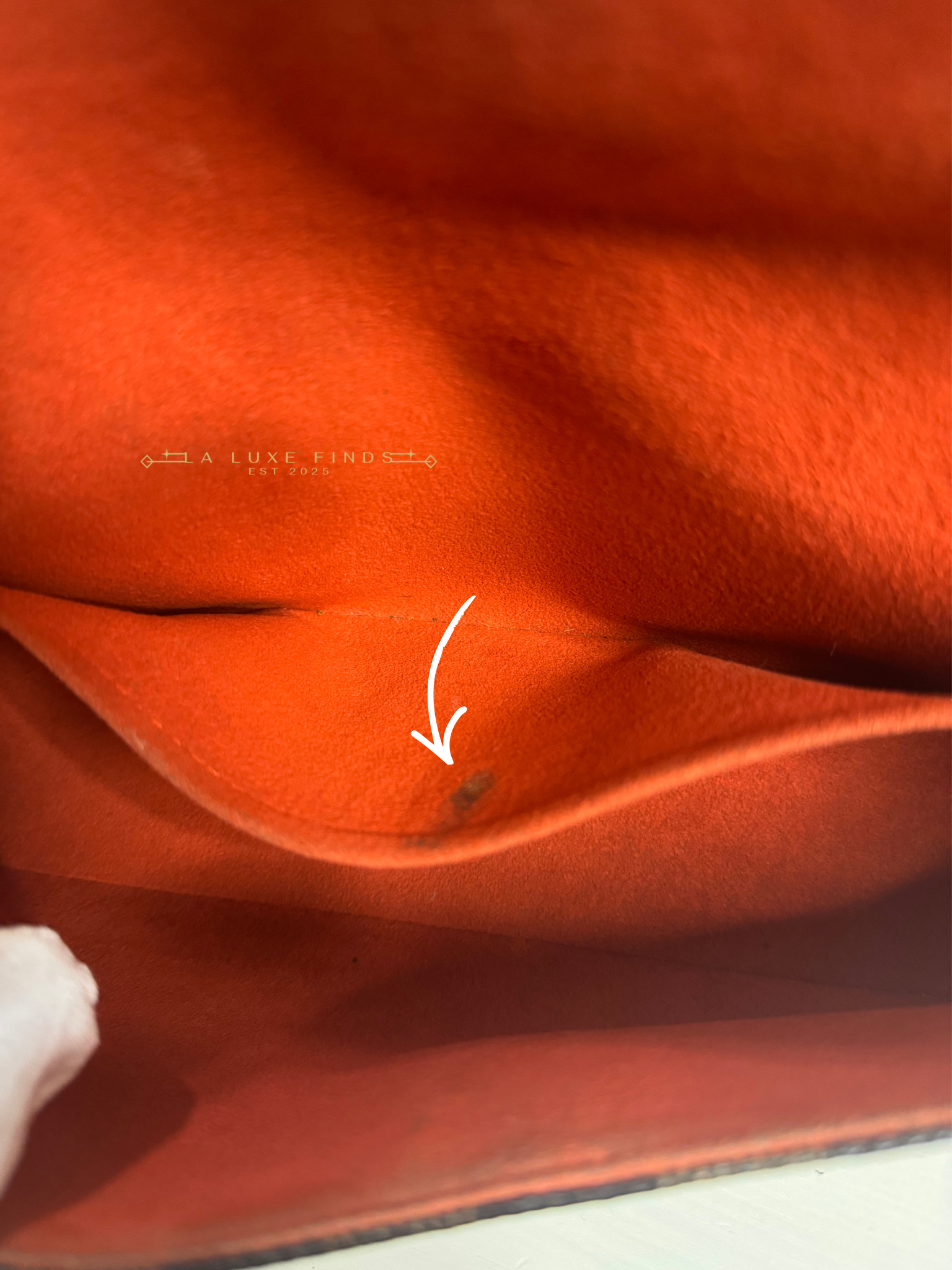 LOUIS VUITTON Damier Ebene Recoleta