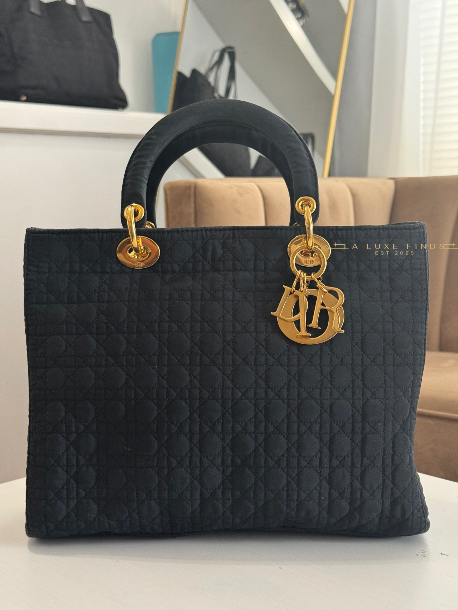 DIOR Lady Cannage Handbag