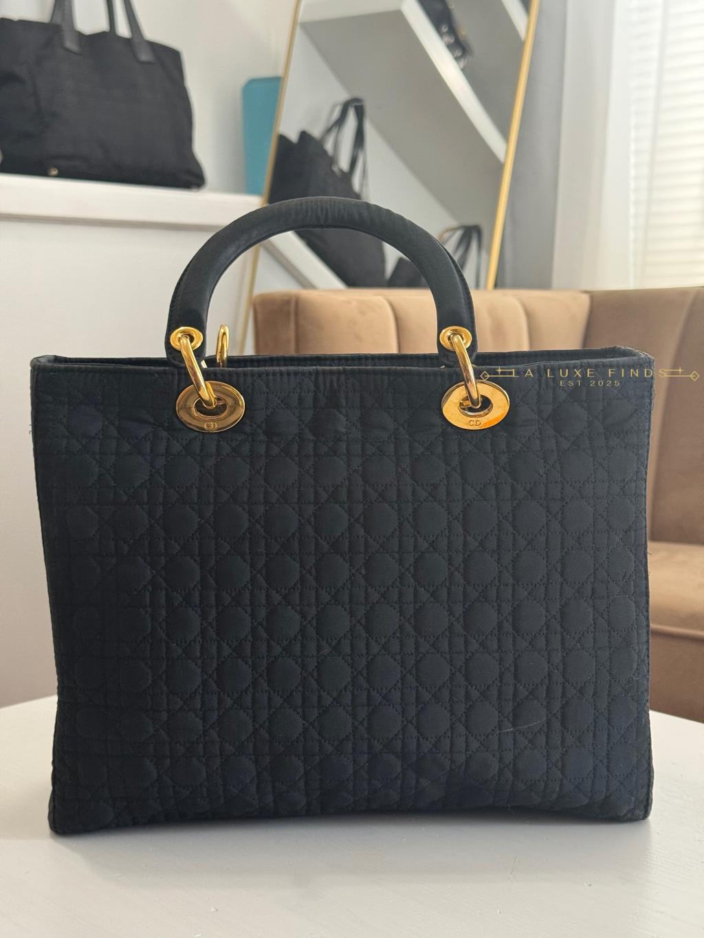 DIOR Lady Cannage Handbag