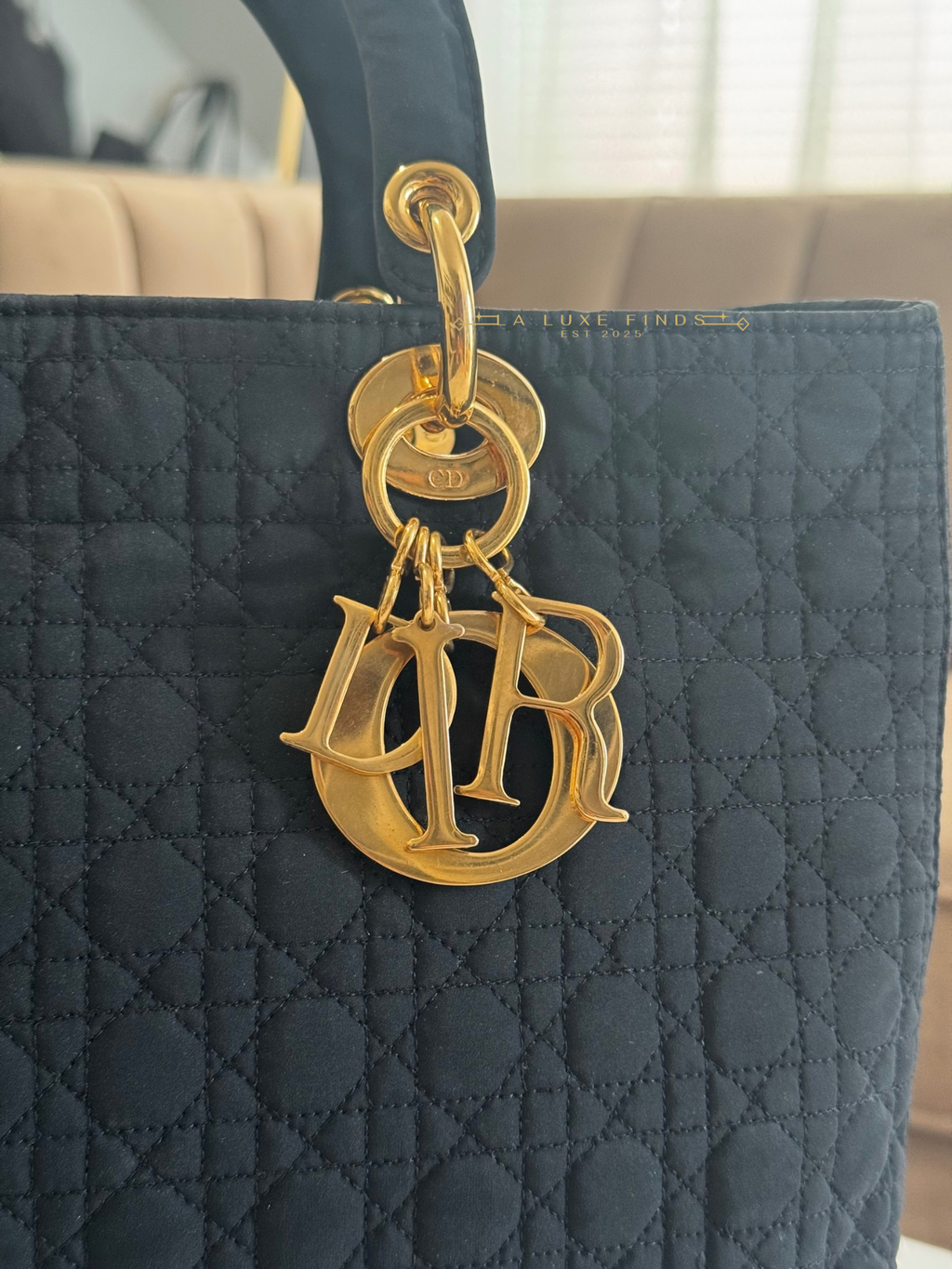 DIOR Lady Cannage Handbag