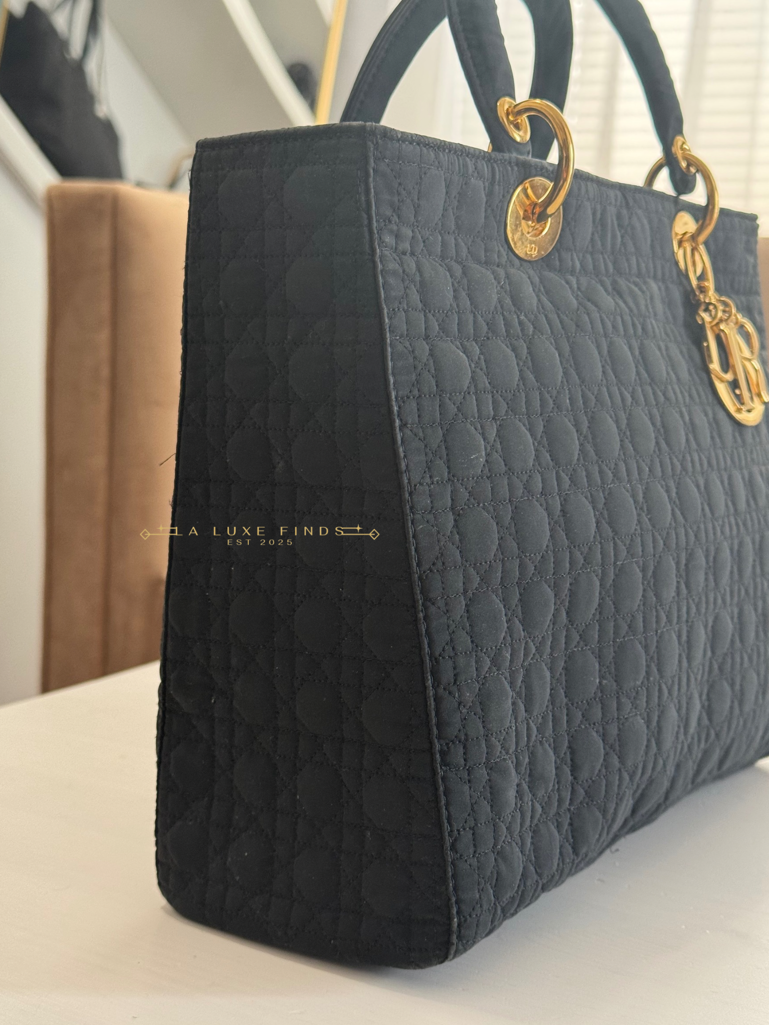 DIOR Lady Cannage Handbag