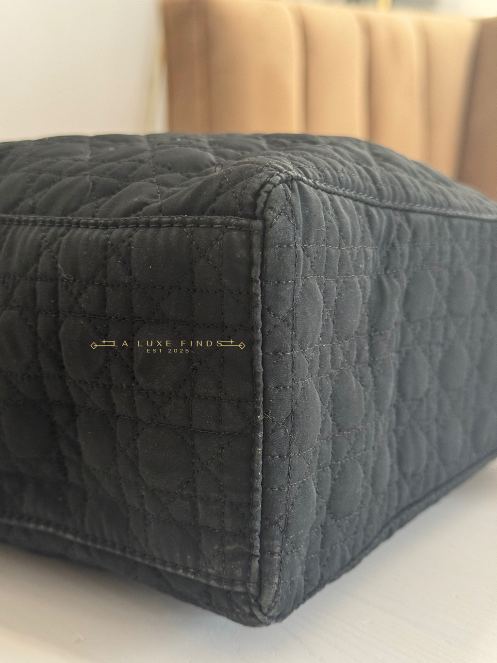 DIOR Lady Cannage Handbag