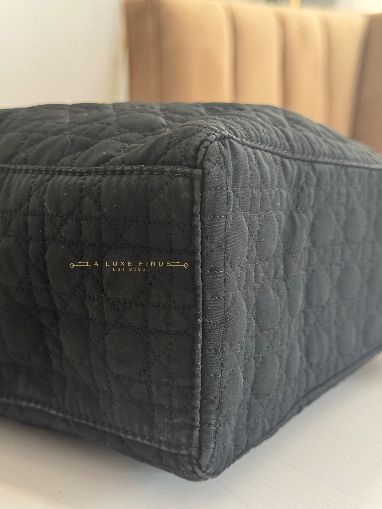 DIOR Lady Cannage Handbag