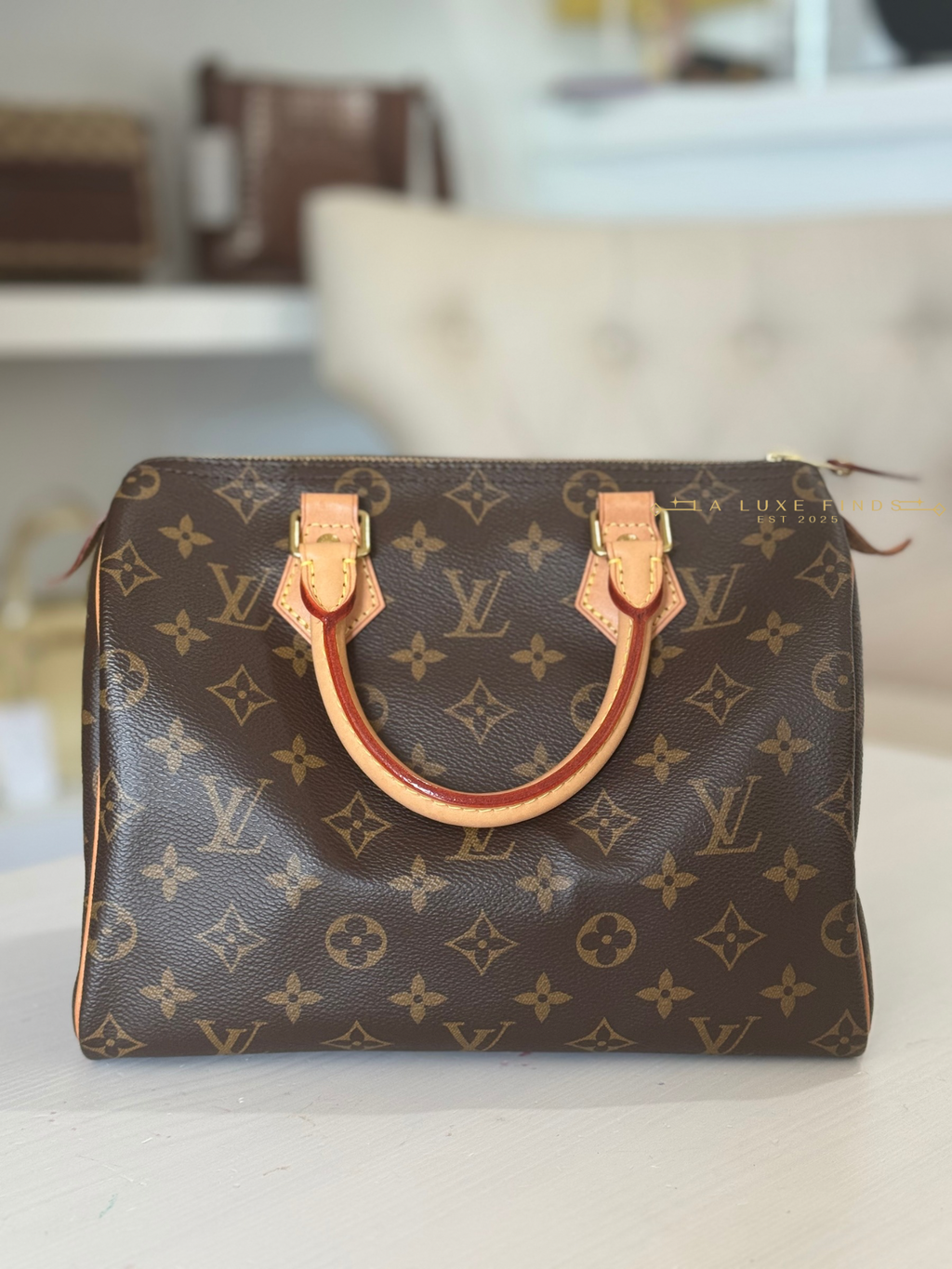 LOUIS VUITTON 2023 Monogram Speedy 25