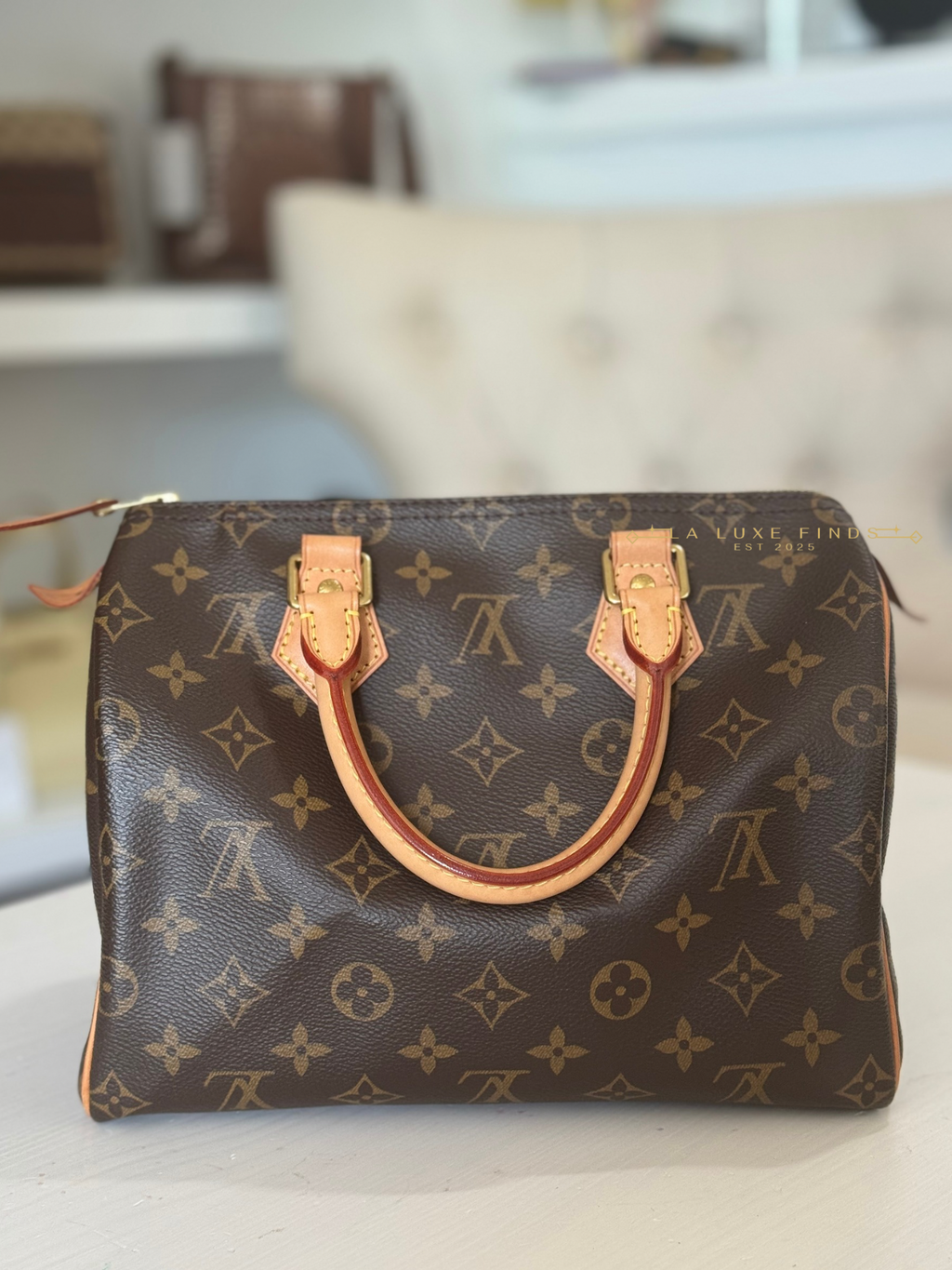 LOUIS VUITTON 2023 Monogram Speedy 25