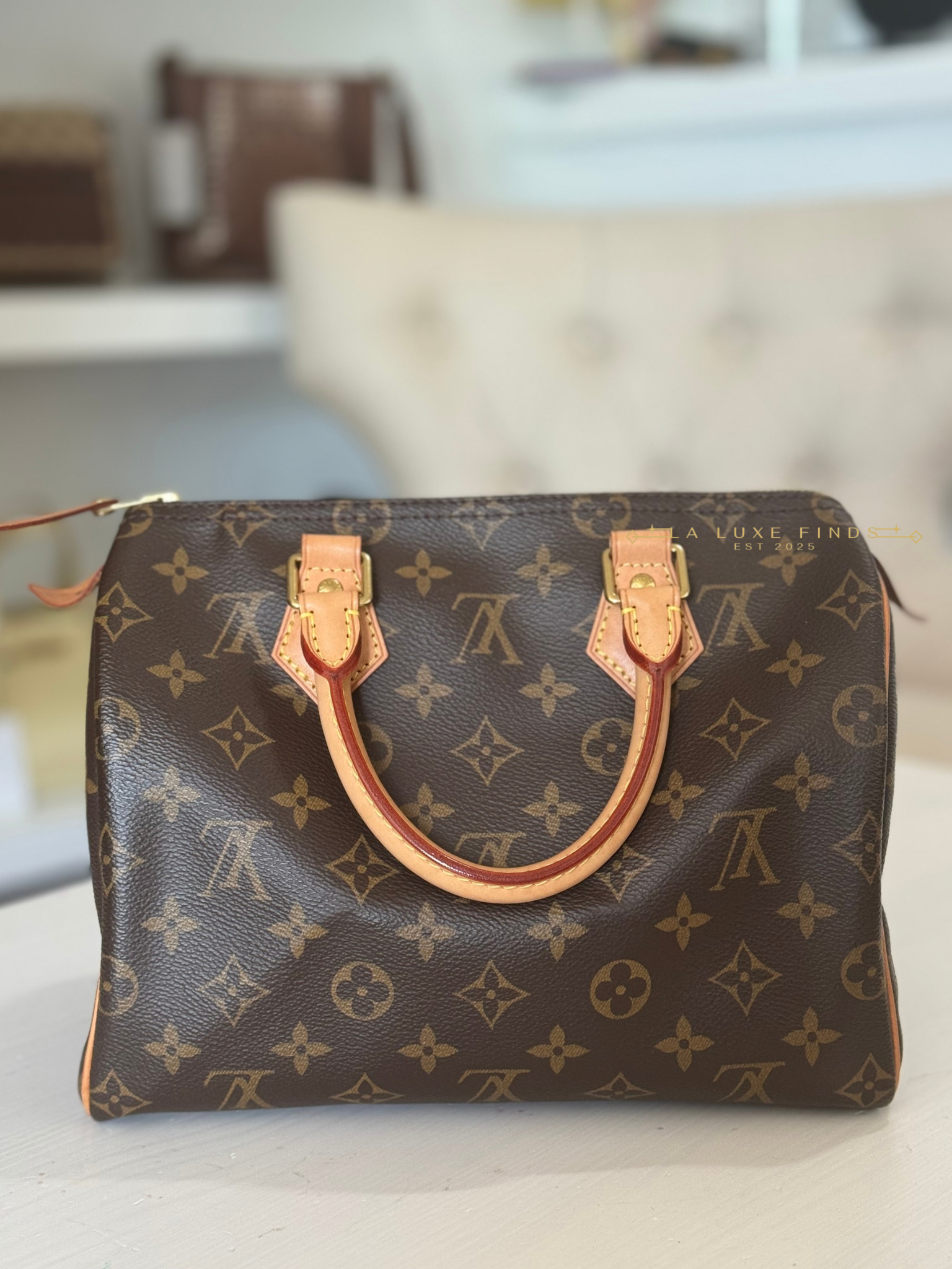 LOUIS VUITTON 2023 Monogram Speedy 25