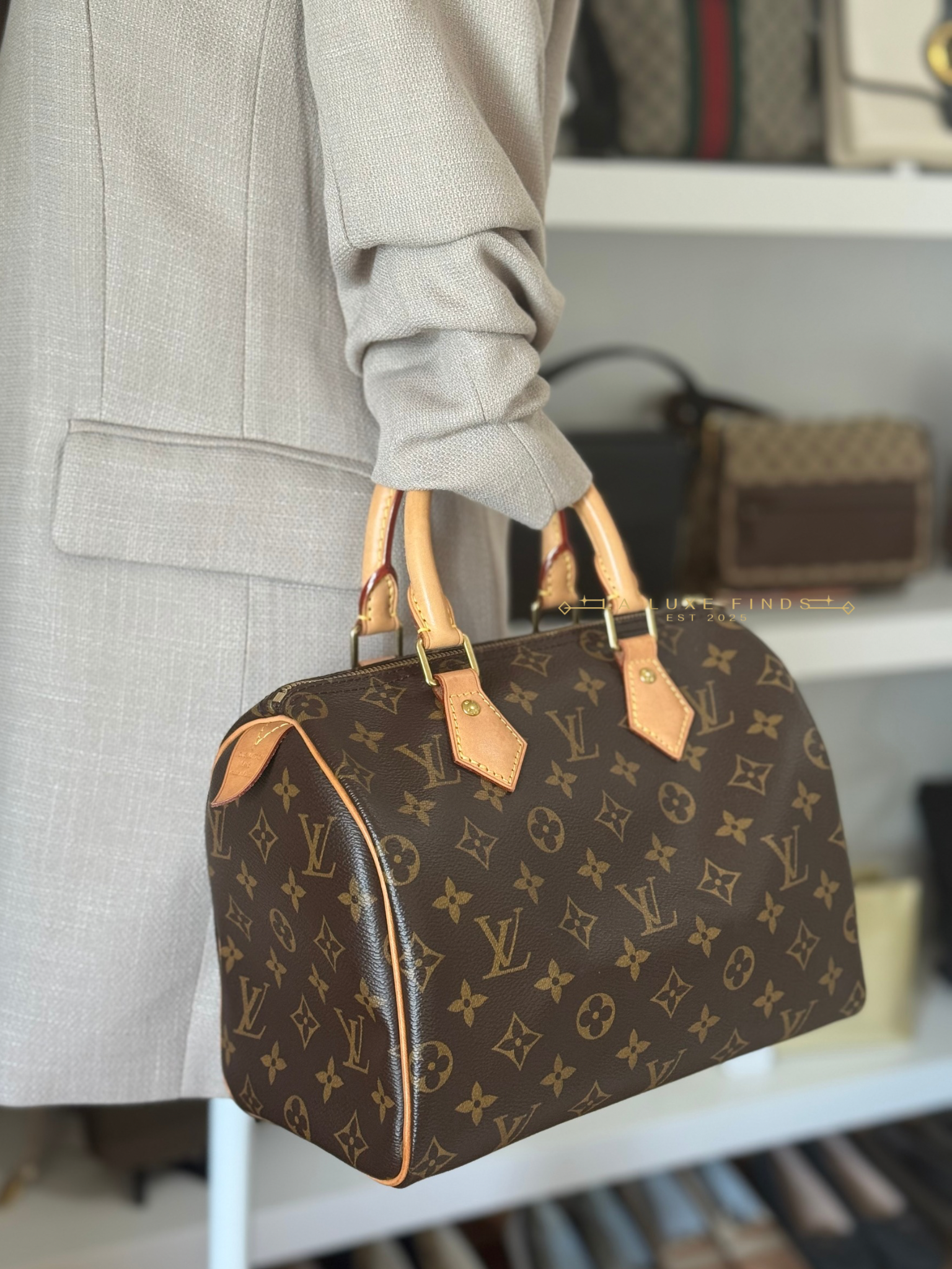 LOUIS VUITTON 2023 Monogram Speedy 25
