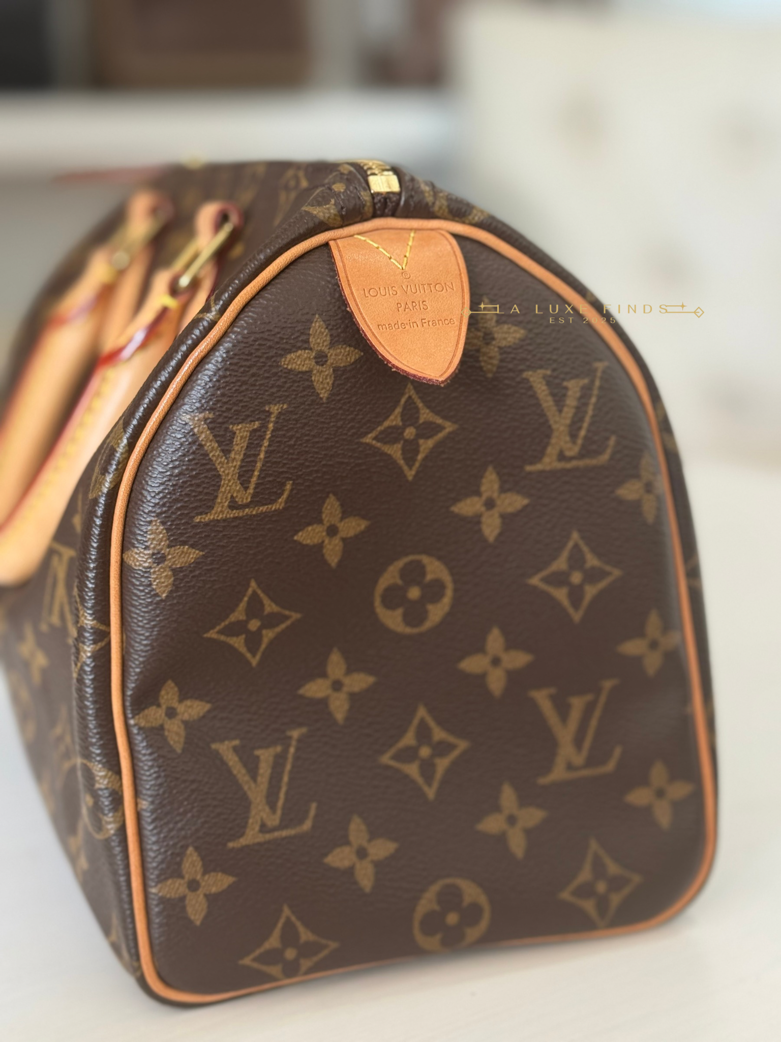 LOUIS VUITTON 2023 Monogram Speedy 25