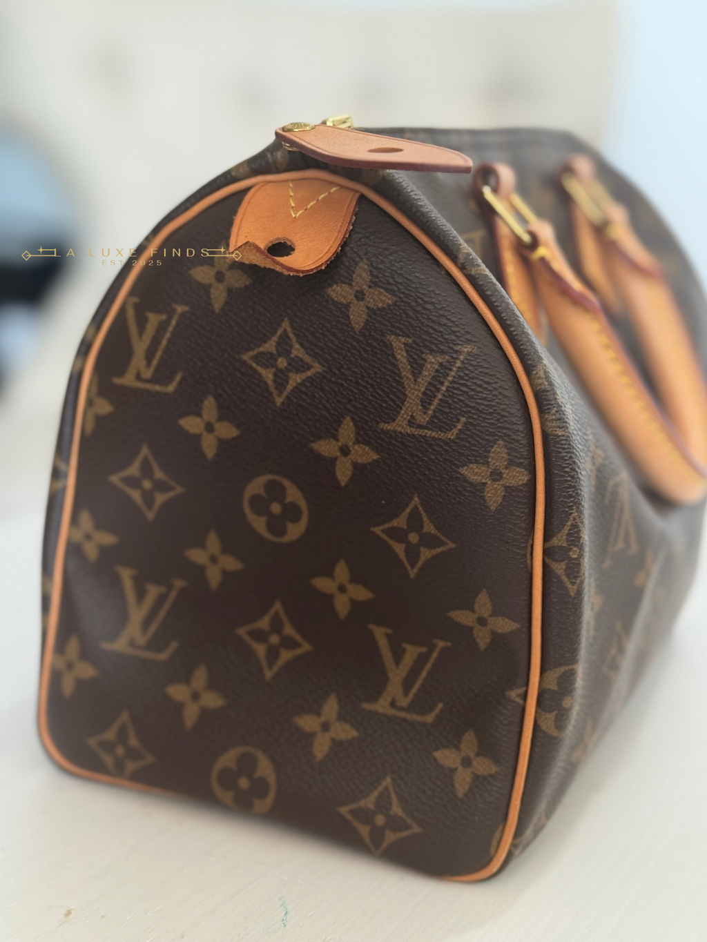 LOUIS VUITTON 2023 Monogram Speedy 25