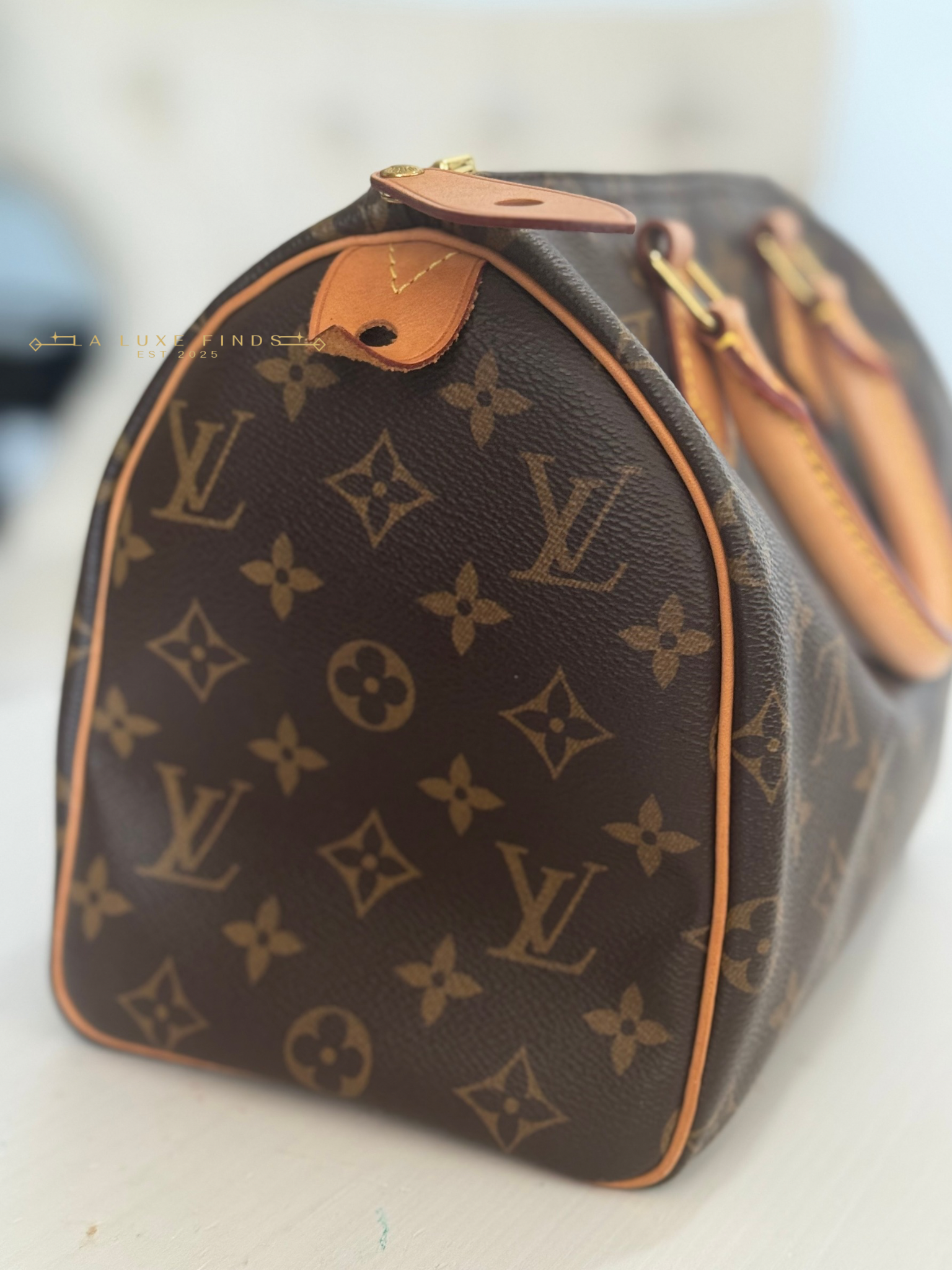LOUIS VUITTON 2023 Monogram Speedy 25
