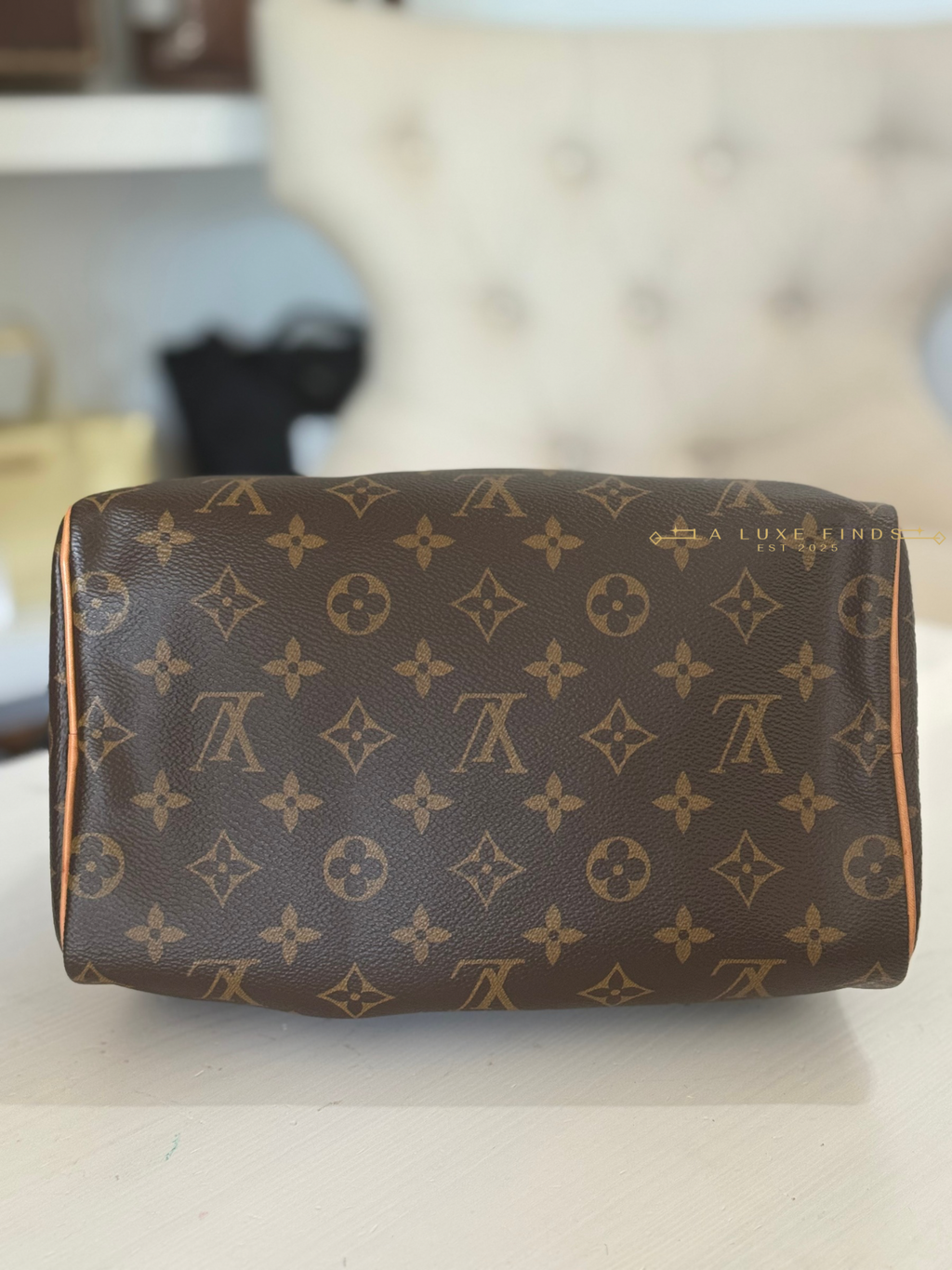 LOUIS VUITTON 2023 Monogram Speedy 25