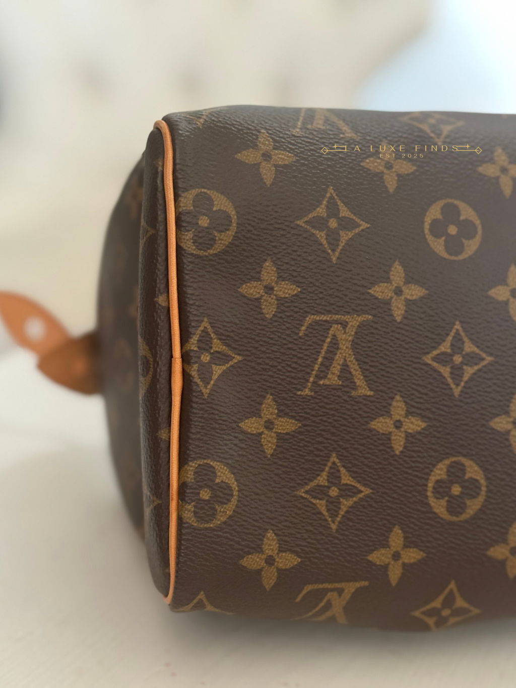 LOUIS VUITTON 2023 Monogram Speedy 25