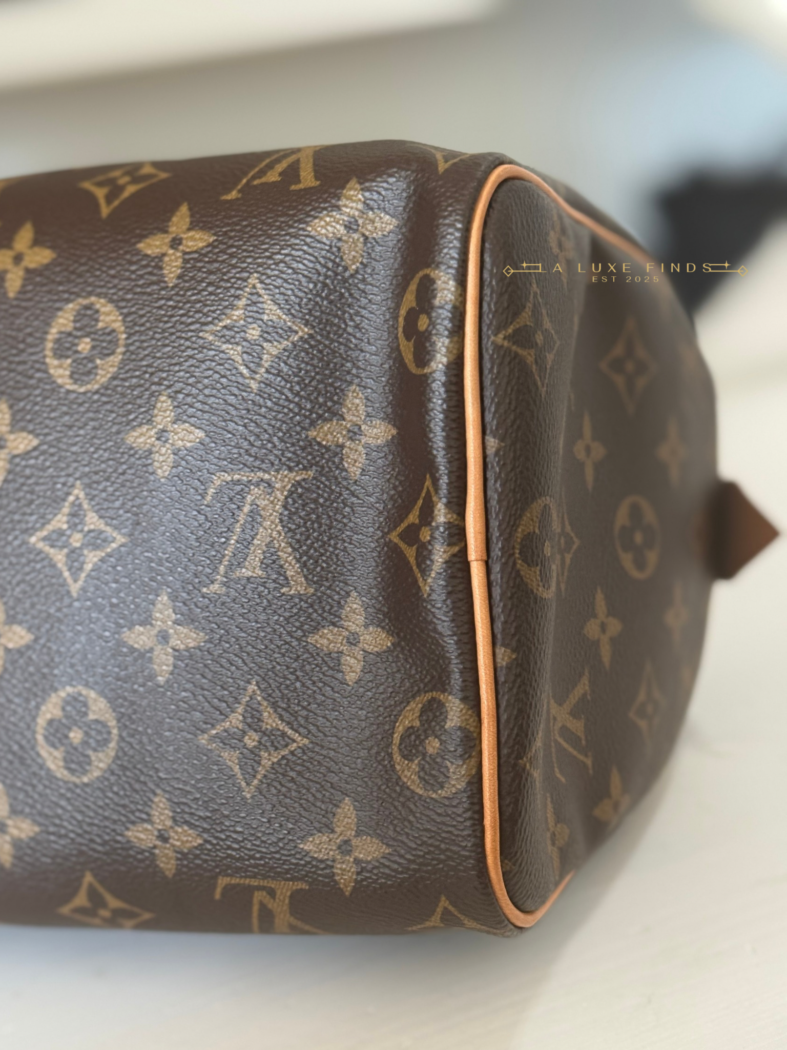LOUIS VUITTON 2023 Monogram Speedy 25
