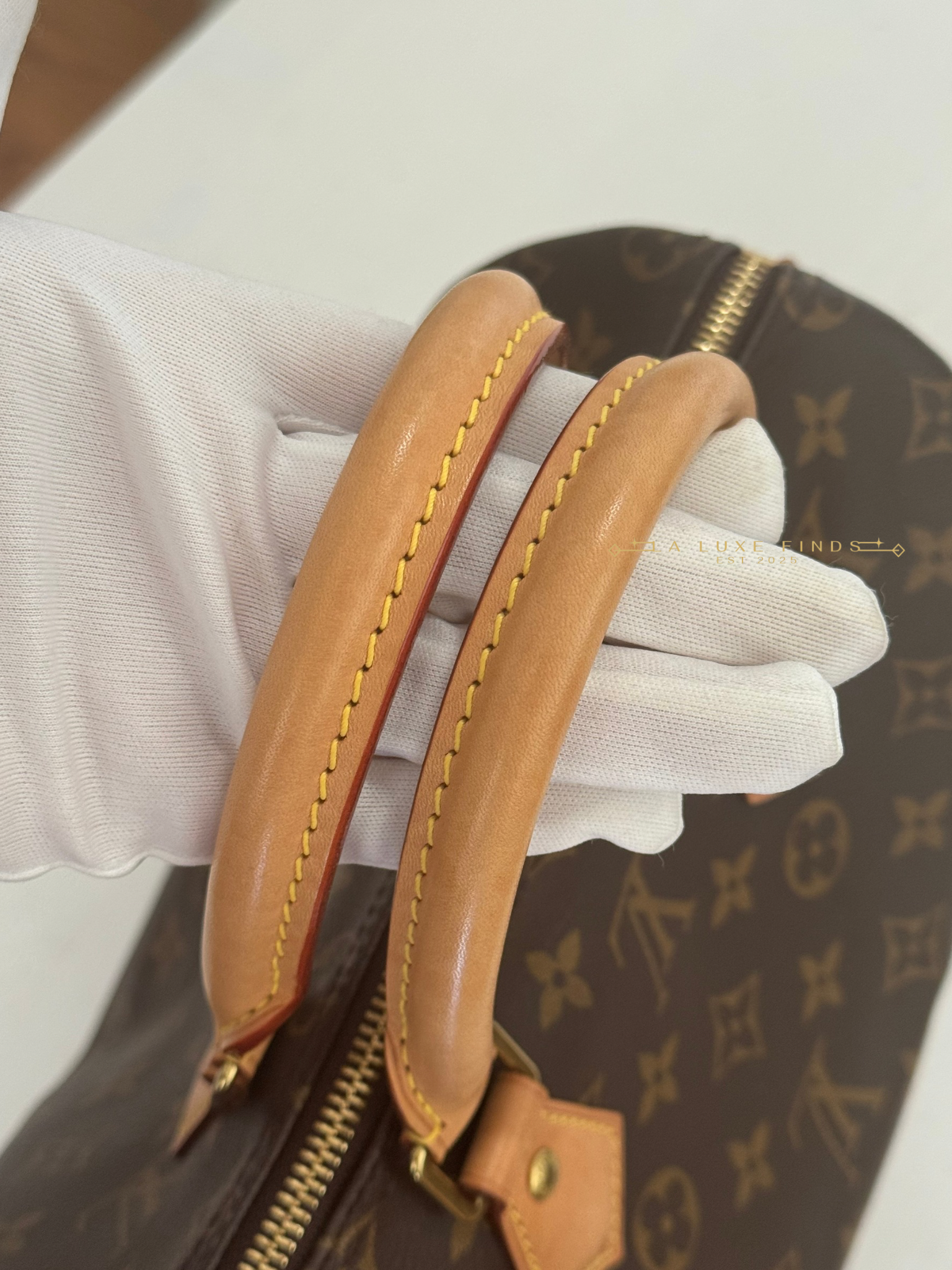 LOUIS VUITTON 2023 Monogram Speedy 25