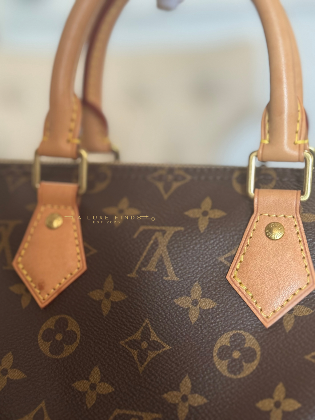 LOUIS VUITTON 2023 Monogram Speedy 25