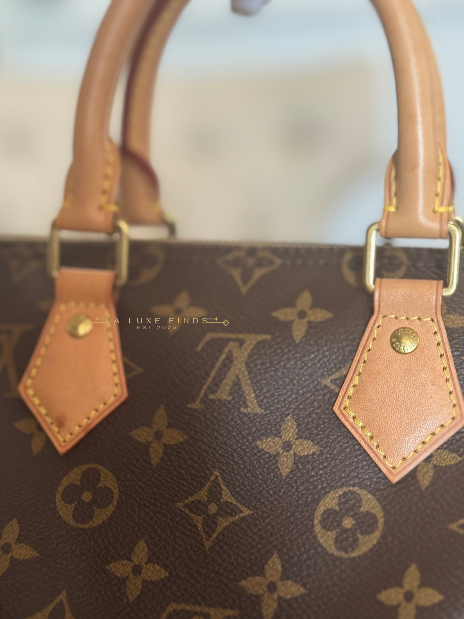 LOUIS VUITTON 2023 Monogram Speedy 25