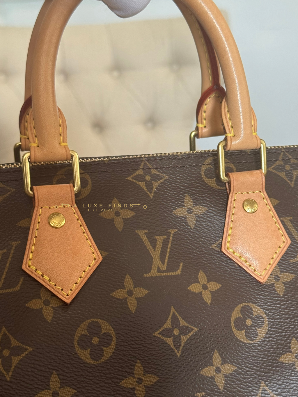 LOUIS VUITTON 2023 Monogram Speedy 25