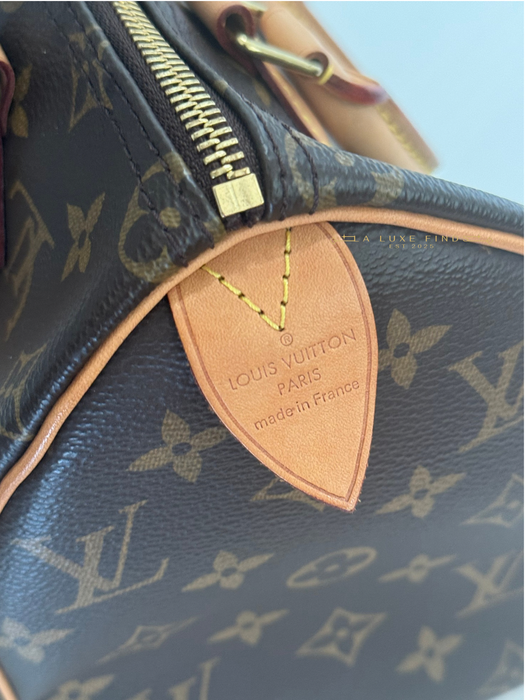 LOUIS VUITTON 2023 Monogram Speedy 25
