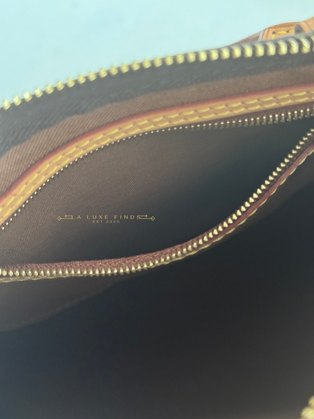 LOUIS VUITTON 2023 Monogram Speedy 25