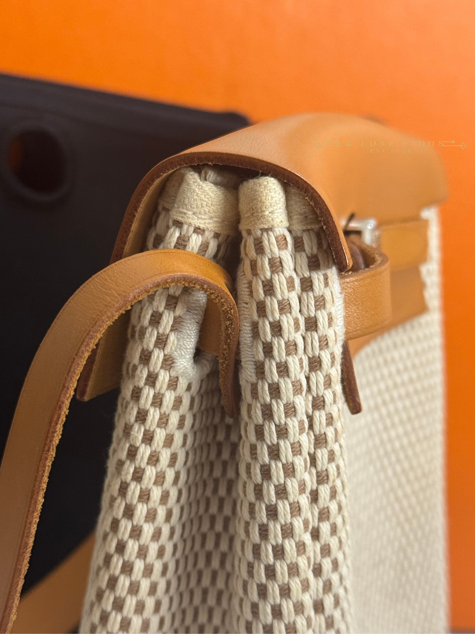 HERMES Herbag Toile TPM