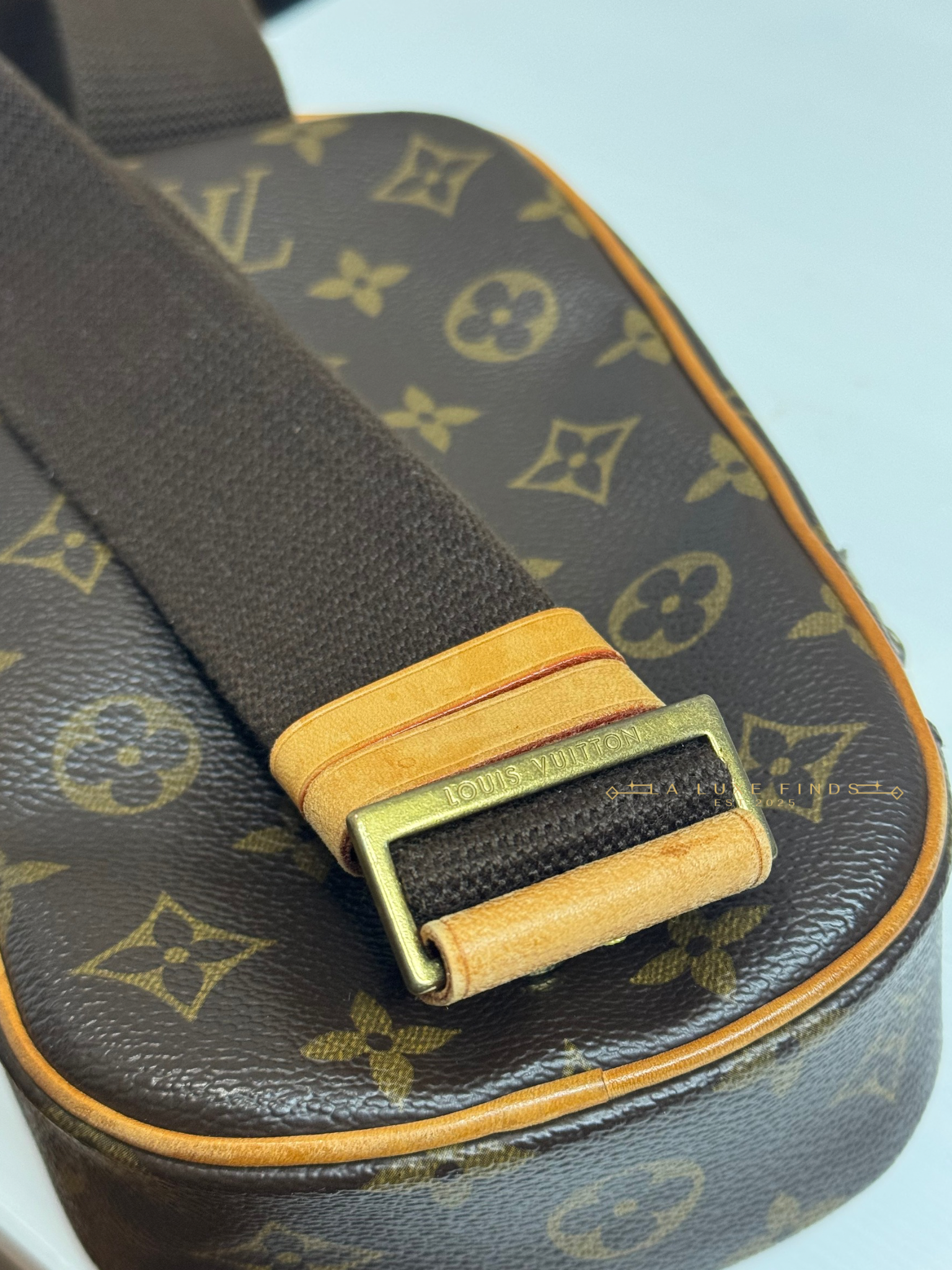 LOUIS VUITTON 2005 Monogram Gange Body Bag