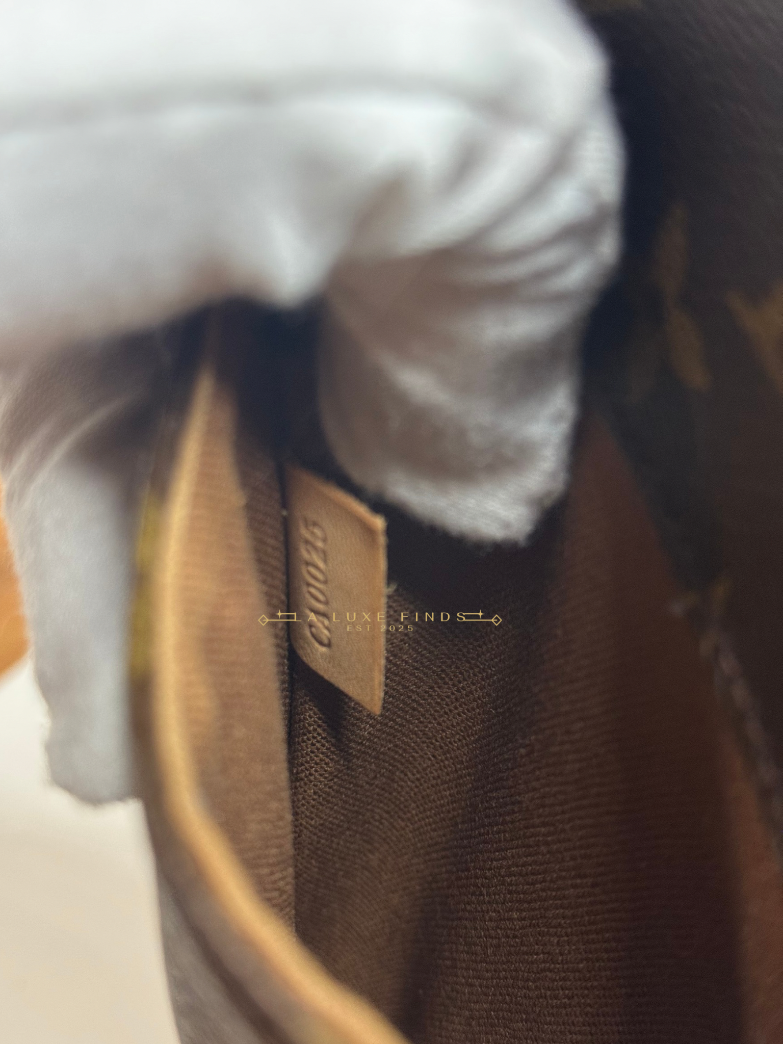 LOUIS VUITTON 2005 Monogram Gange Body Bag