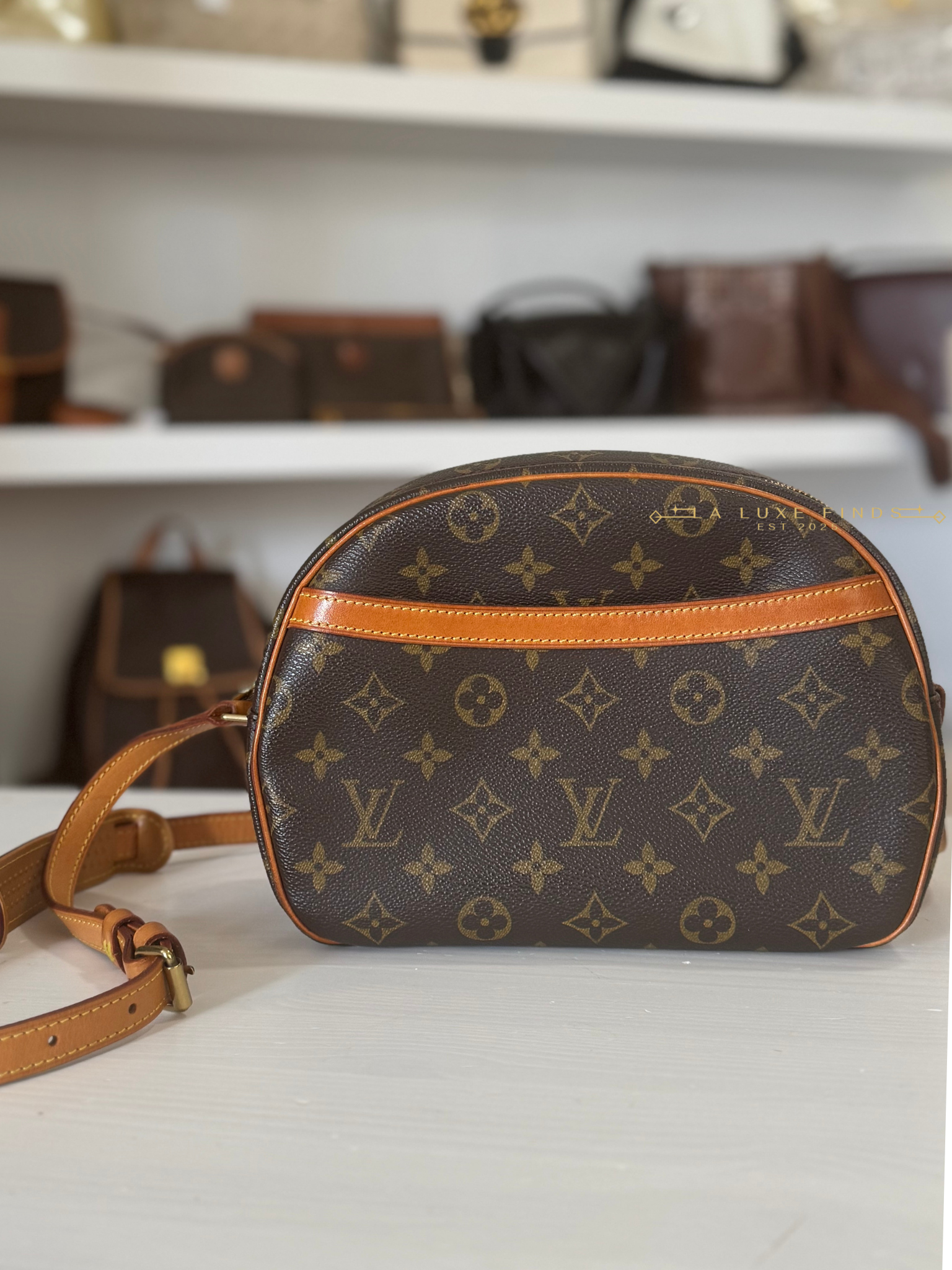 LOUIS VUITTON 2000 Monogram Blois