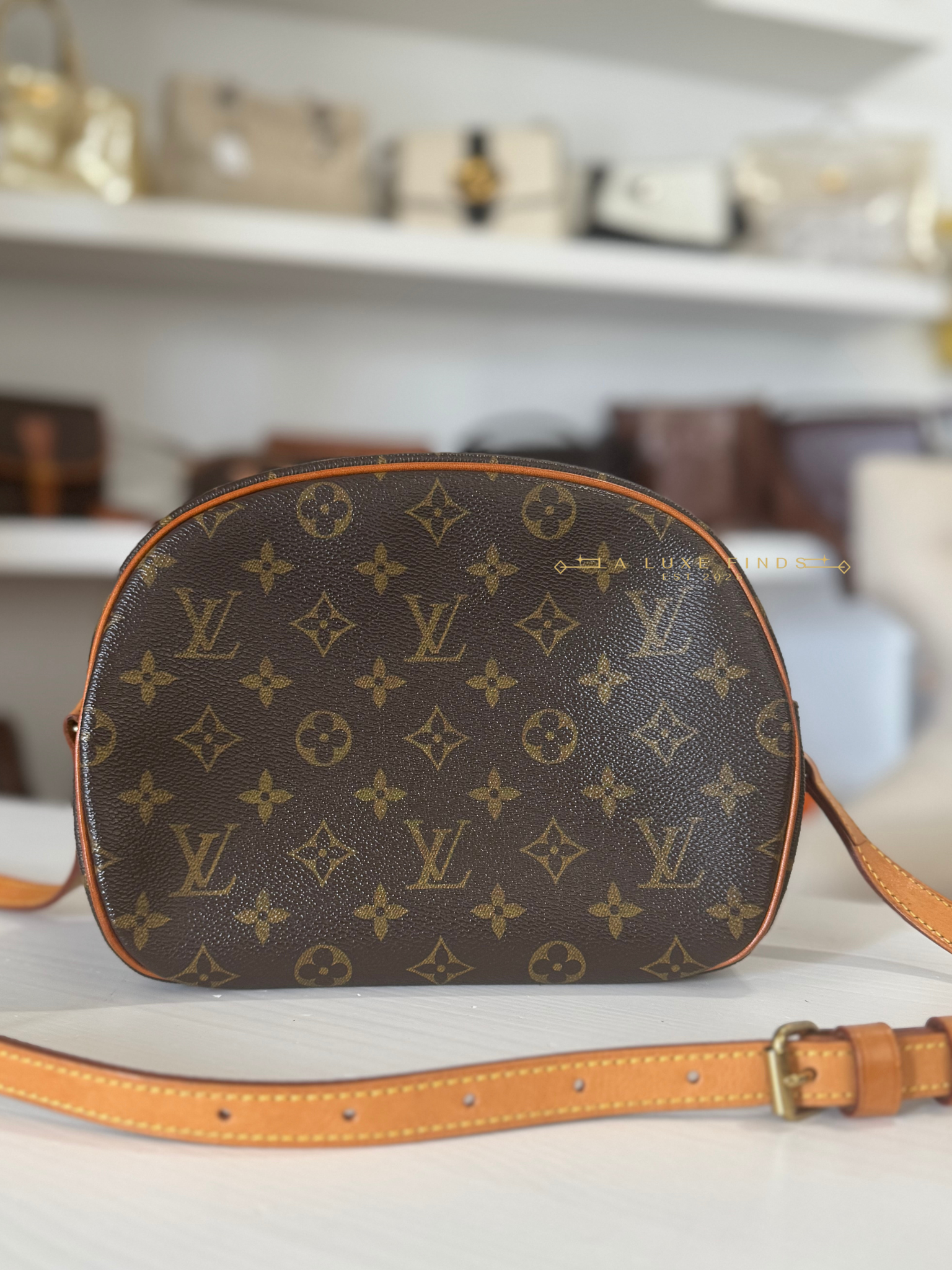 LOUIS VUITTON 2000 Monogram Blois