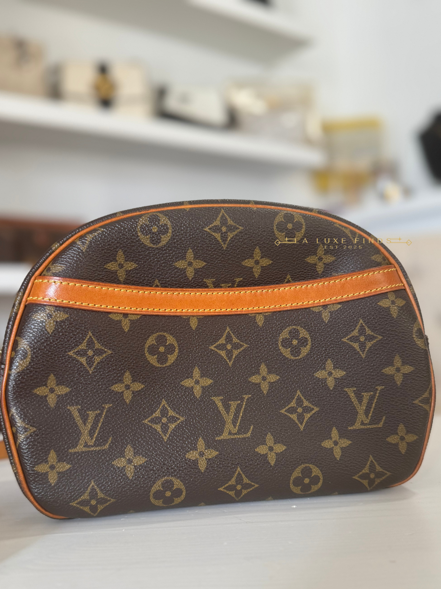 LOUIS VUITTON 2000 Monogram Blois