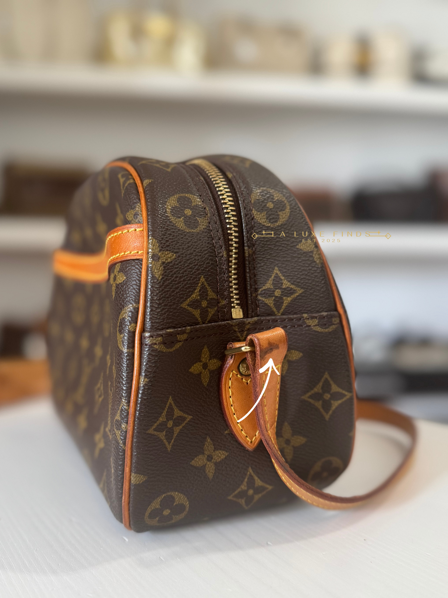 LOUIS VUITTON 2000 Monogram Blois