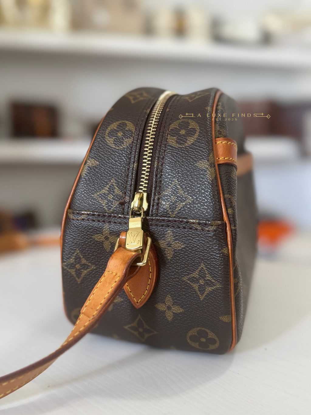 LOUIS VUITTON 2000 Monogram Blois