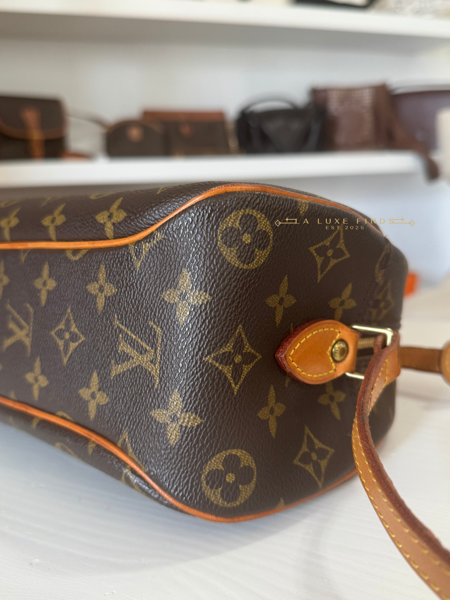 LOUIS VUITTON 2000 Monogram Blois