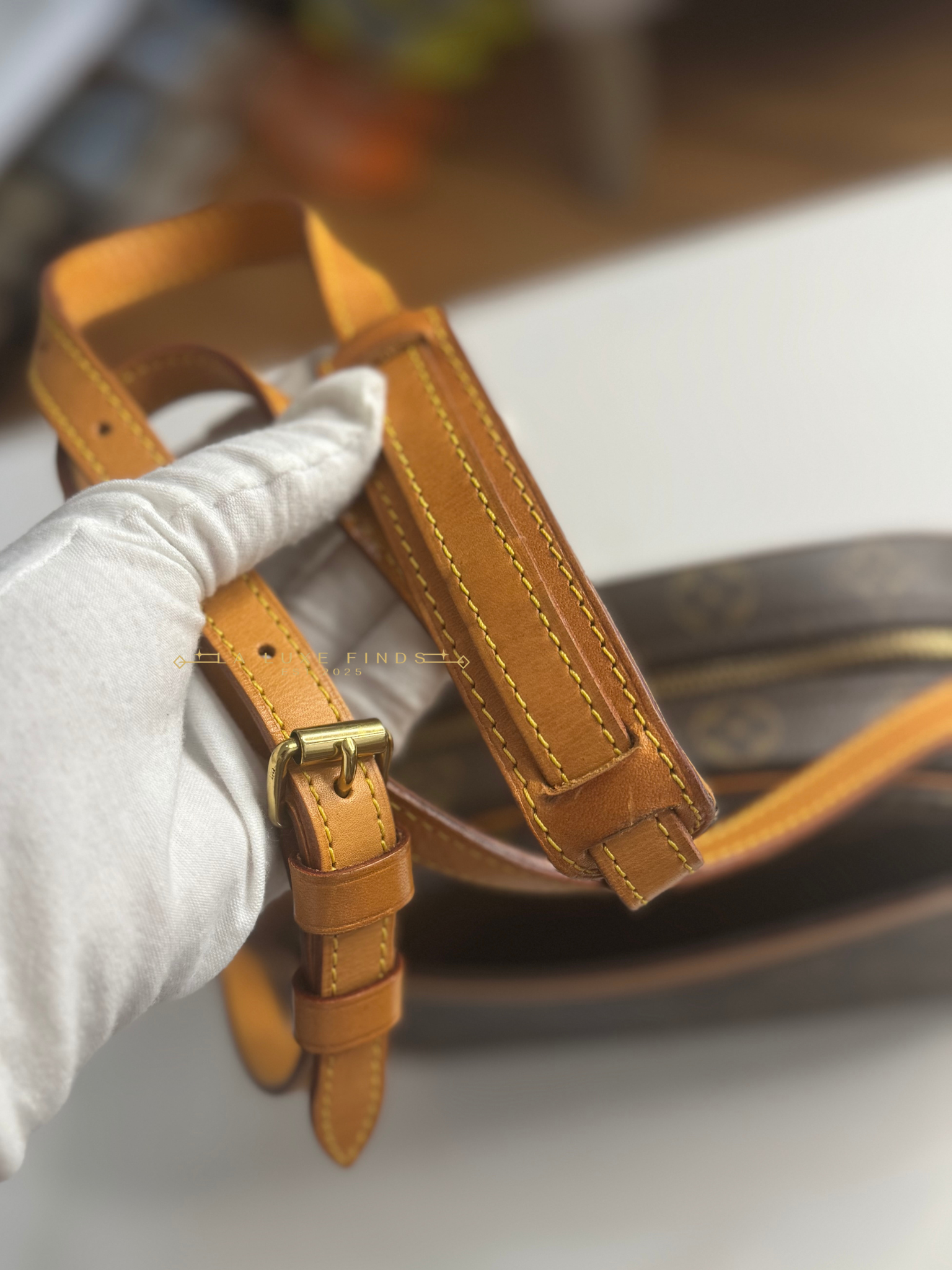LOUIS VUITTON 2000 Monogram Blois