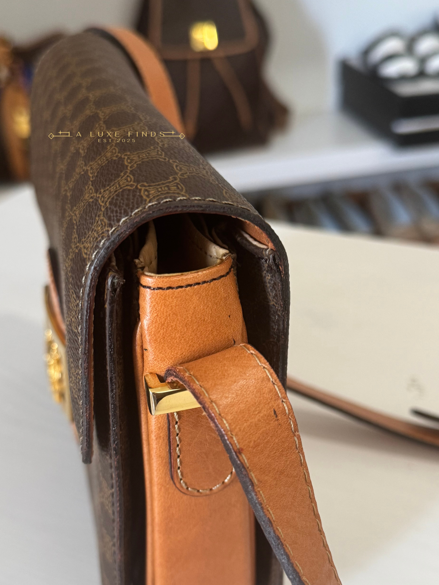 CELINE Macadam Horse Carriage