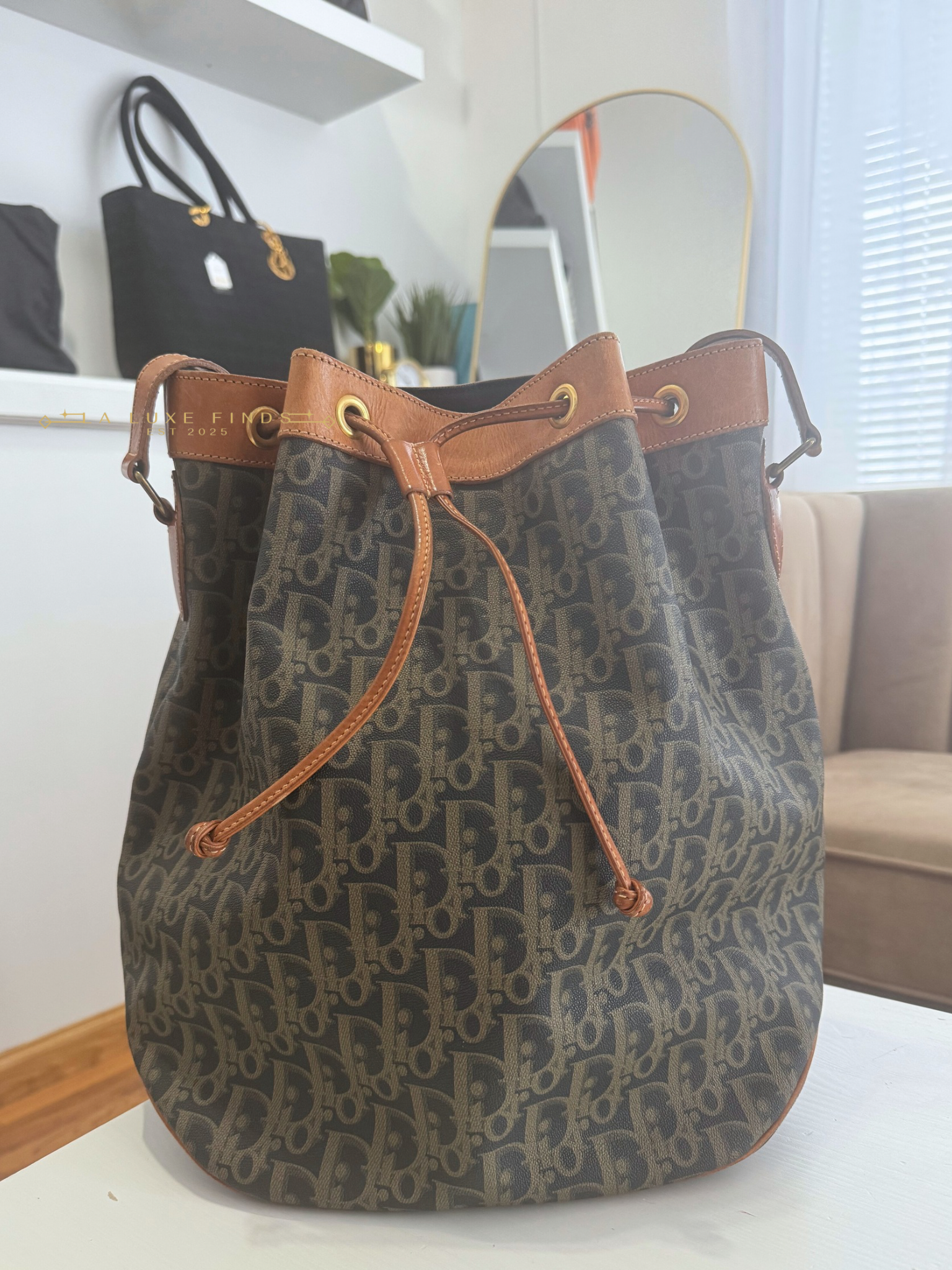 DIOR Vintage Trotter Bucket Bag