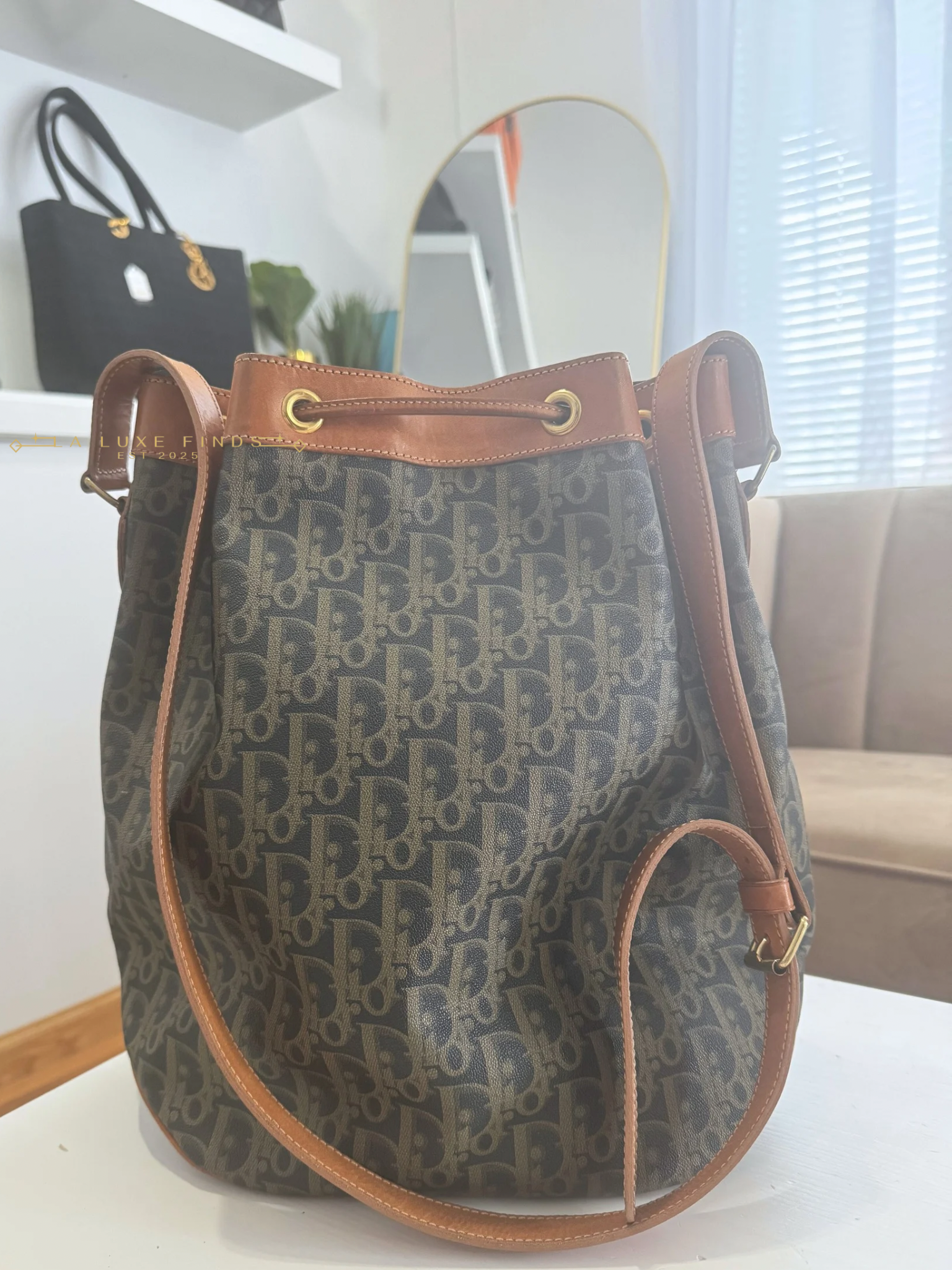 DIOR Vintage Trotter Bucket Bag