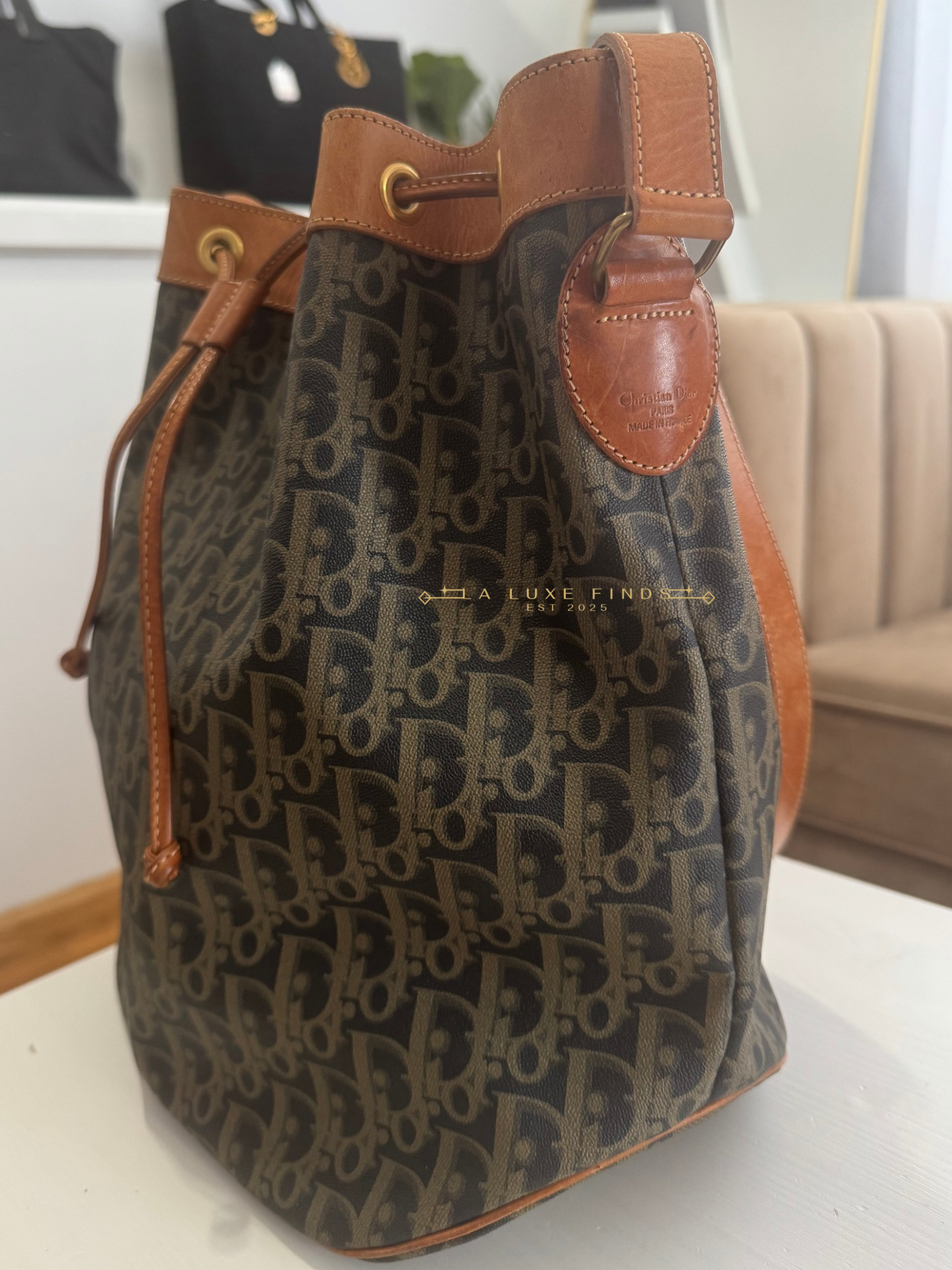 DIOR Vintage Trotter Bucket Bag