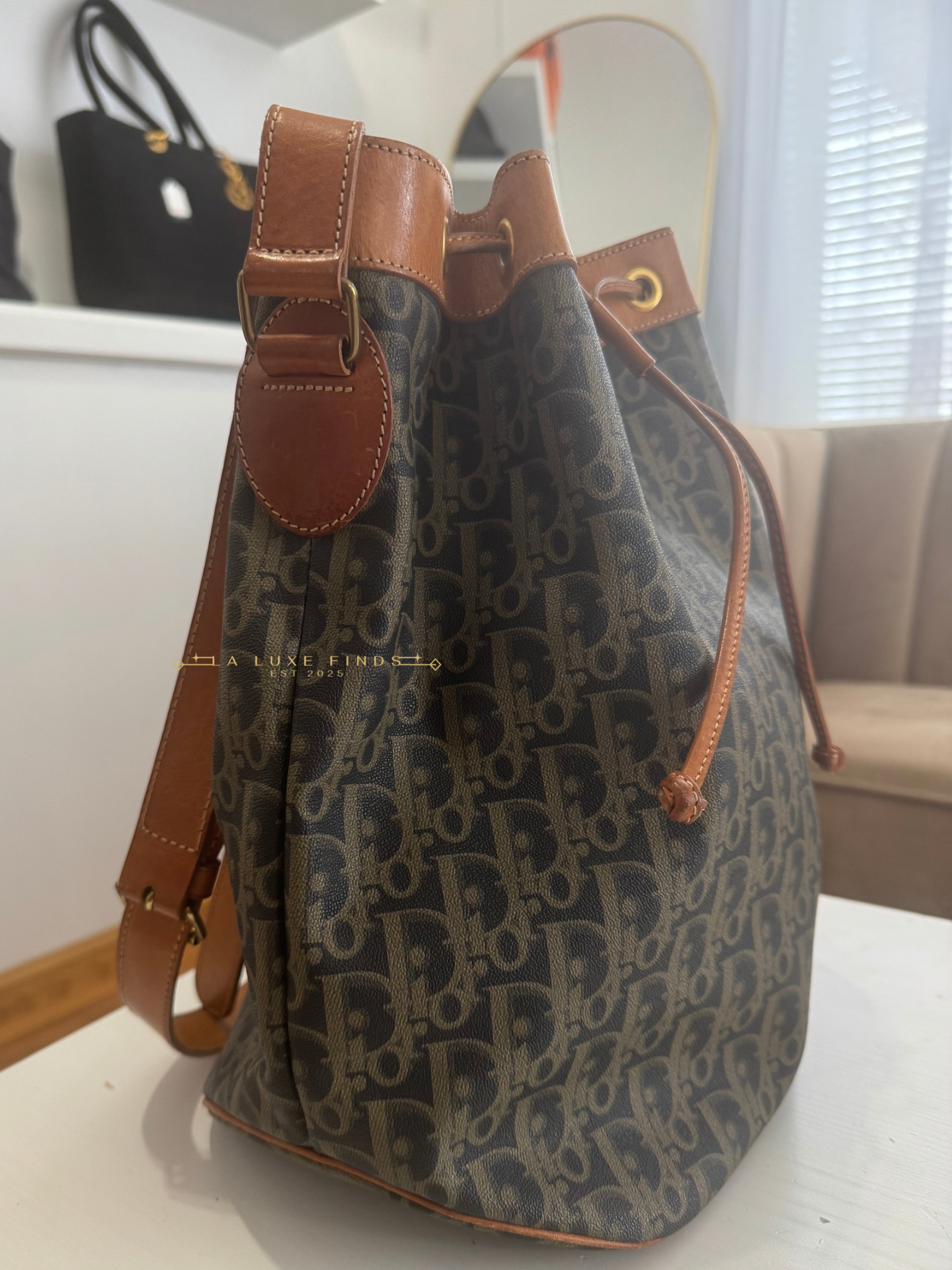 DIOR Vintage Trotter Bucket Bag